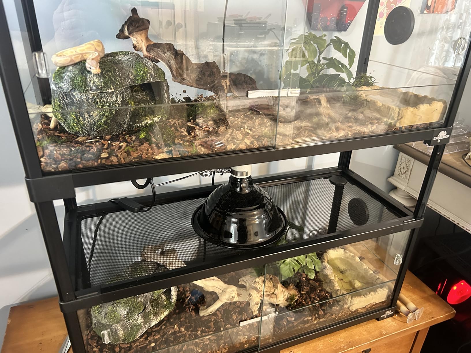 Double Stacked Reptile Tank, 30
