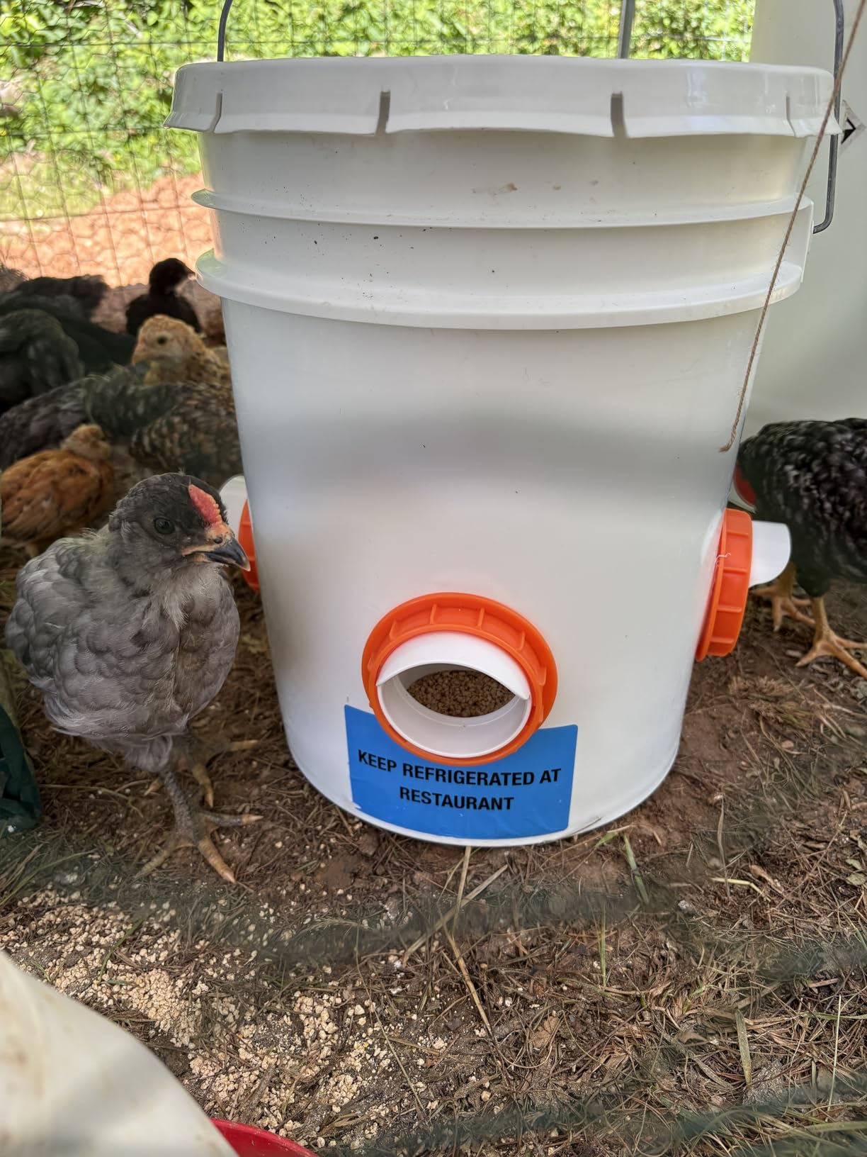 12 Chicken Feeder Ports,DIY Poultry Feeder Cups with Lid & Drill Bit,Orange customer photo 1