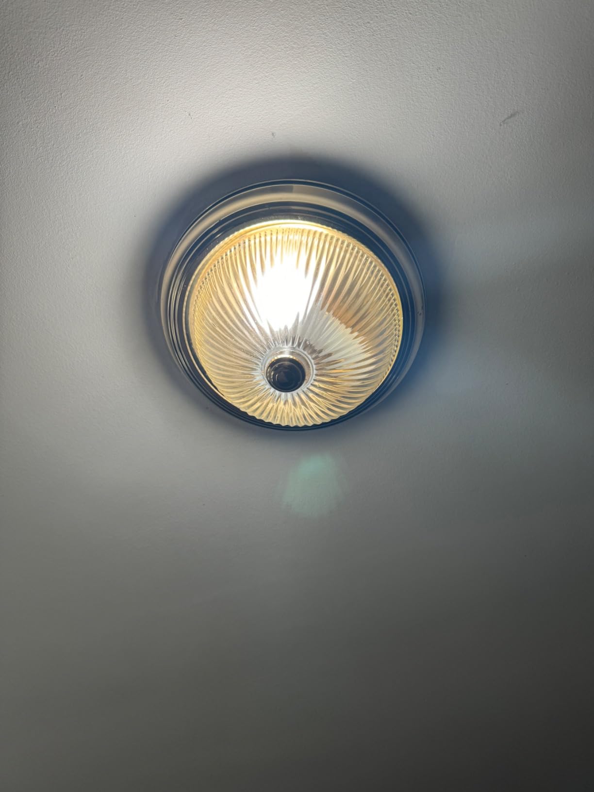 Full Spectrum Light Bulbs, 5000K Natural Sunlight Bulb, CRI 98+, 3 Pack customer photo 1