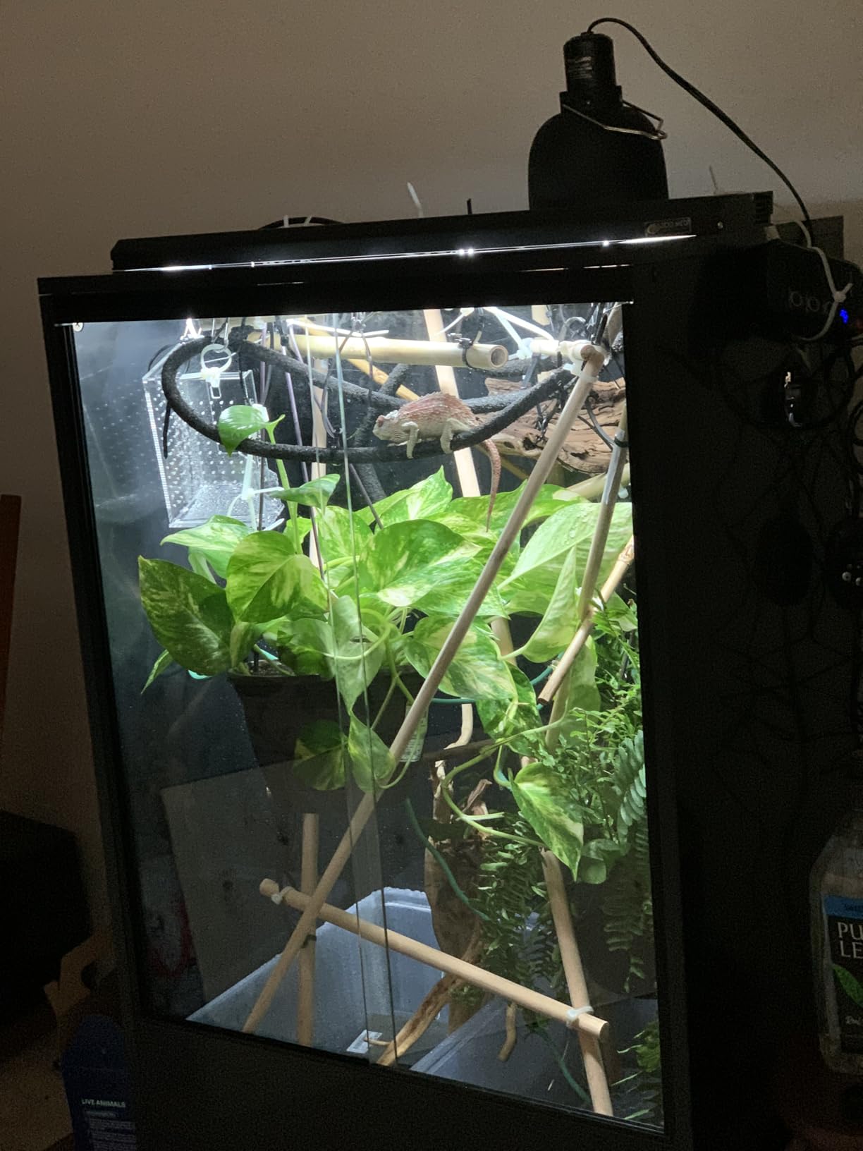 REPTI ZOO 67 Gallon PVC Tall Reptile Tank, 24 x18x36 inch Large Reptile Terrarium for Gecko Lizard Chameleon Frog Snake, Enclosure Habitat with Sliding Door & Top Screen Ventilation customer photo 2