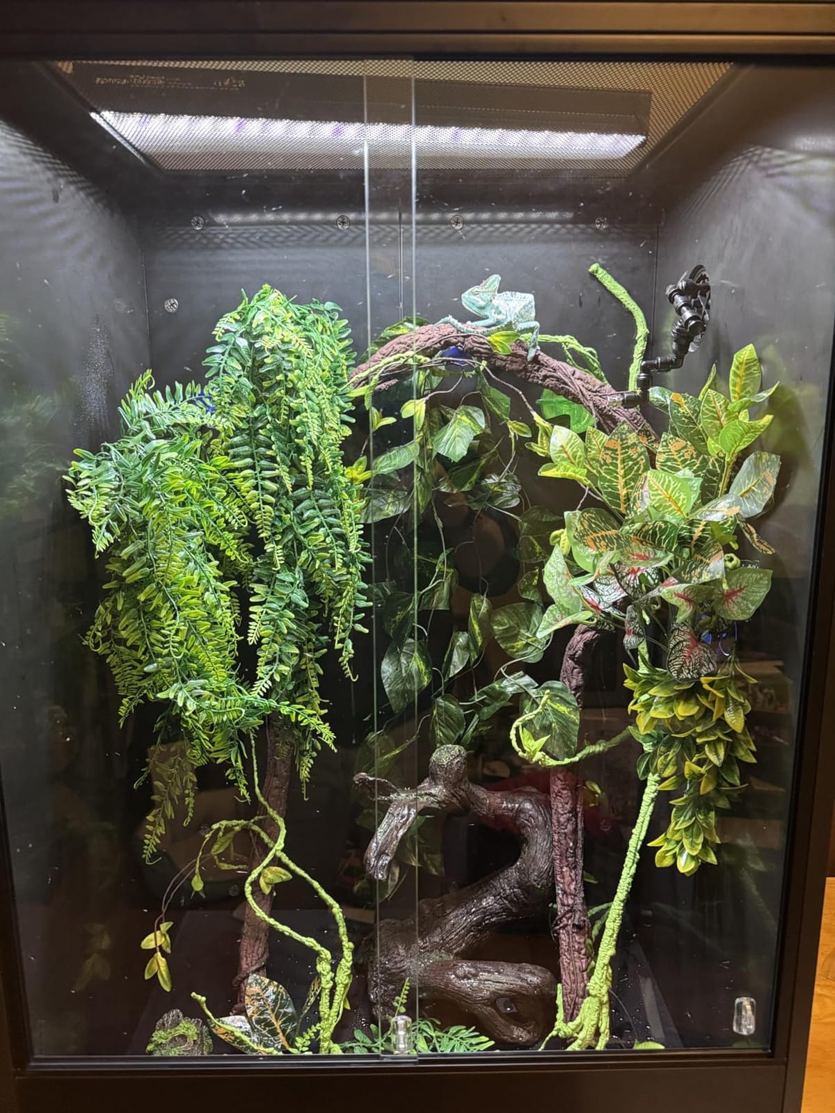 REPTIZOO 100 Gallon PVC Reptile Enclosure, 36x18x36 inch Extra Tall Large Reptile Tank, Chameleon Frog Gecko Lizard Arboreal Terrarium with Sliding Door & Screen Ventilation customer photo 1