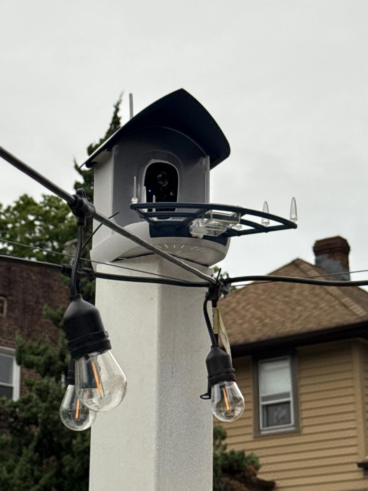 Bird Feeder with Camera,Birds House Camera,Solar Powered,AI Bird ID | Auto records FHD videos of birds in your backyard,Instant Notifications, Ideal gift for family and bird lovers,Navy Blue customer photo 1