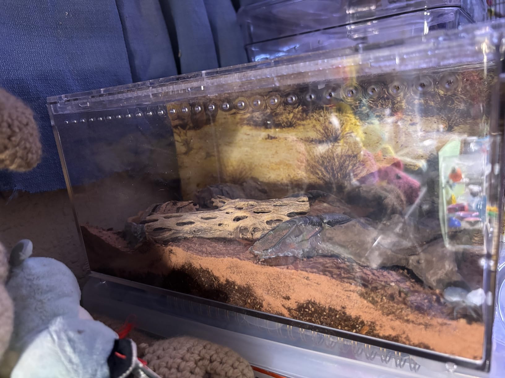 【No Assembly】 Reptile Tank Enclosure with Magnetic Button.12