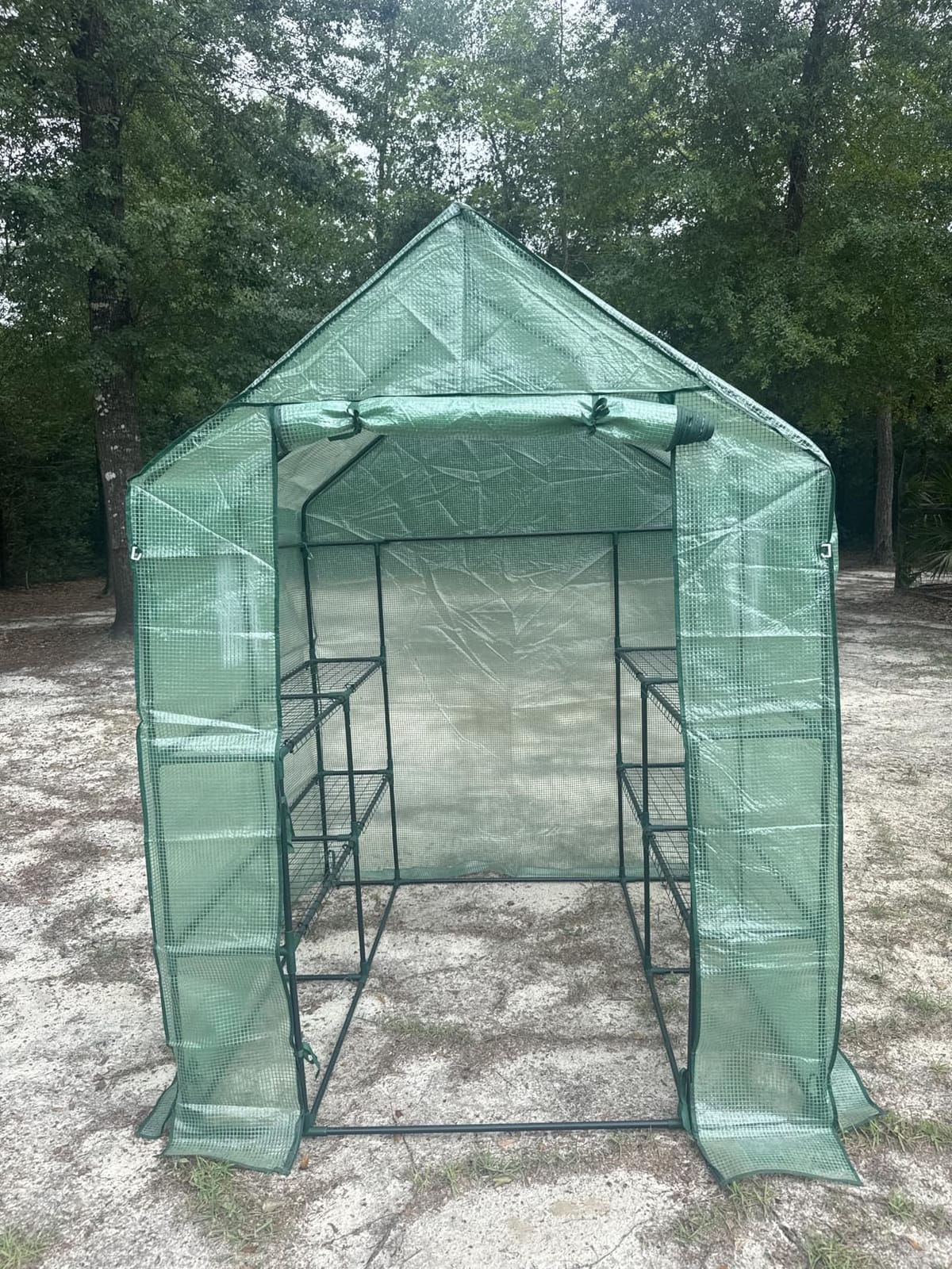 SPECILITE 56×56×78Inch Walk-in Greenhouse for Outdoors Garden Plant, Green customer photo 1