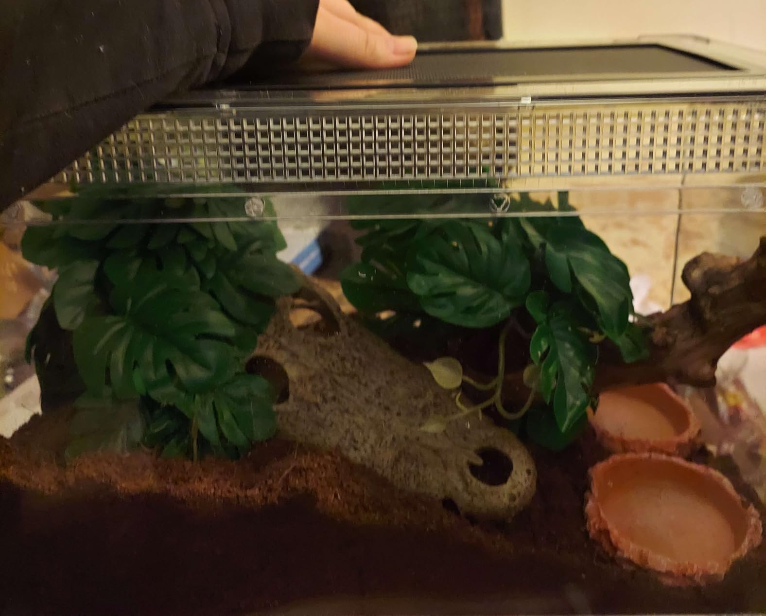 Mini Reptile Terrarium Set,11.8