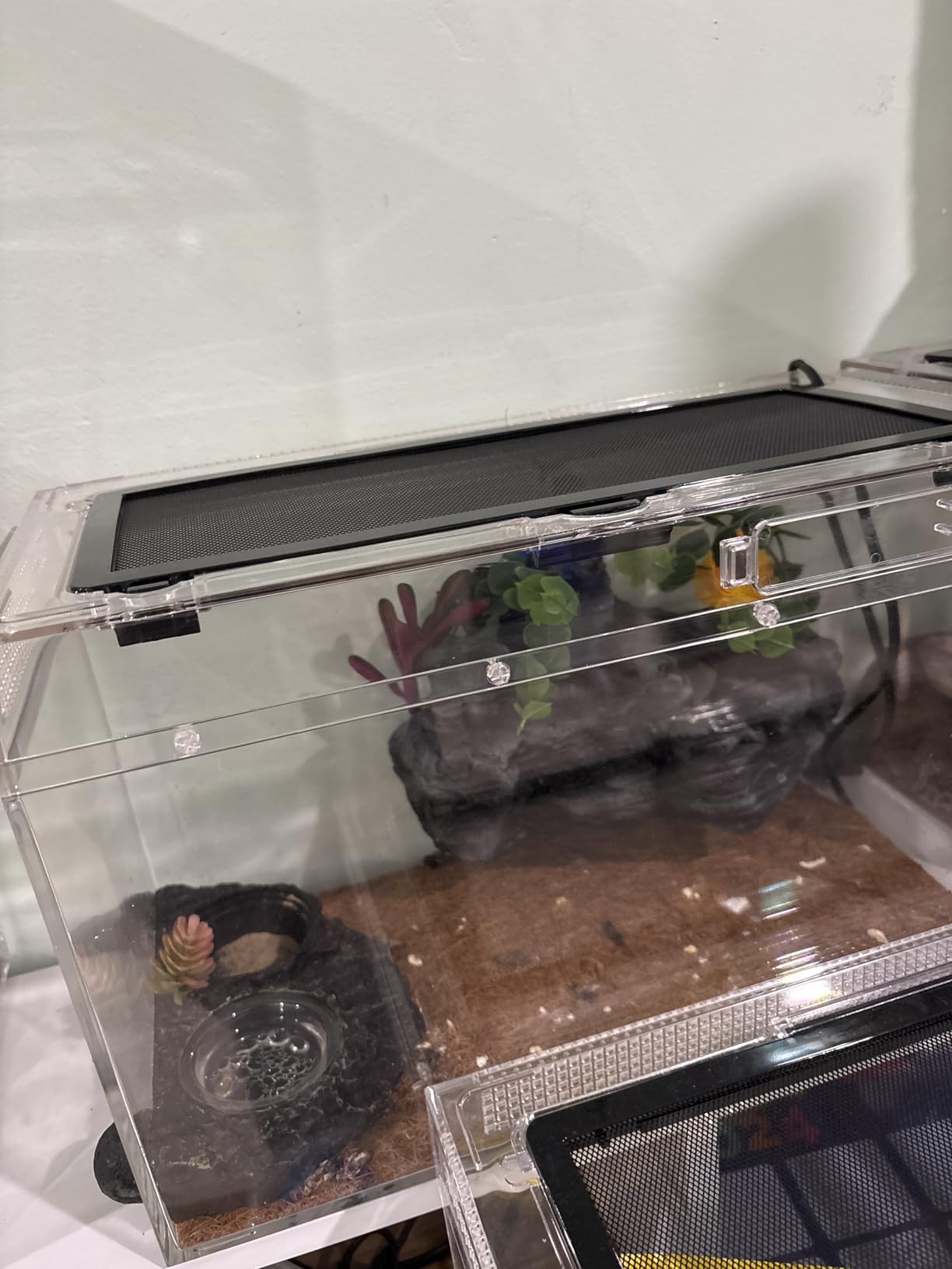 Mini Reptile Terrarium Set,11.8