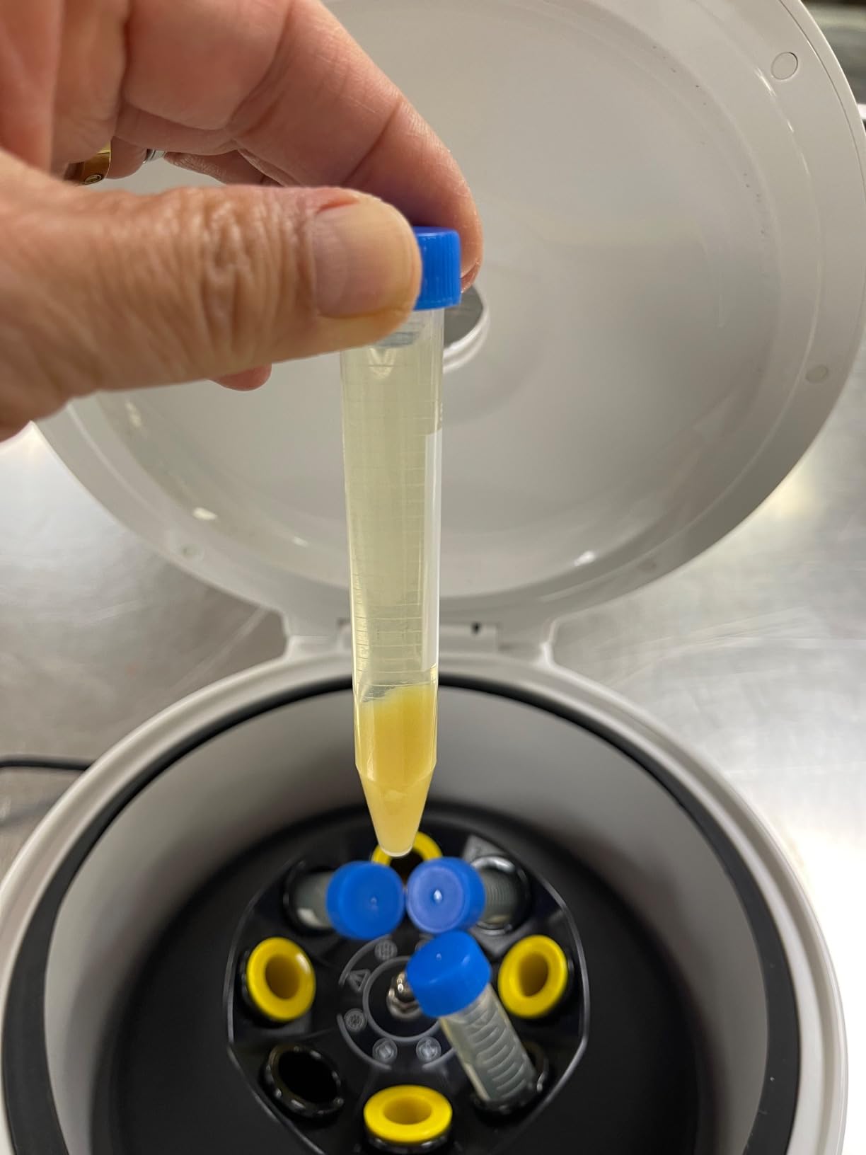 LAB FISH LC-400 PRP Centrifuge, 8x2/5/10ml & 4x15ml Tubes customer photo 2
