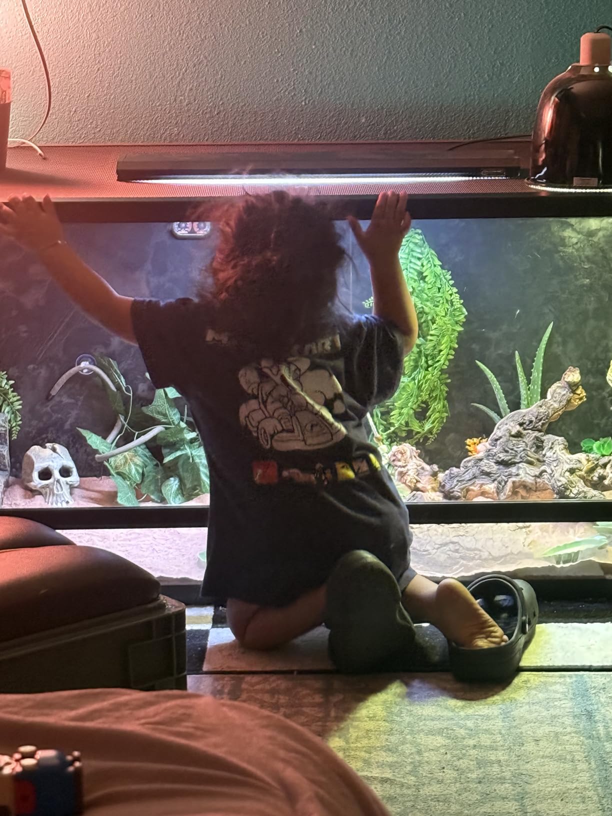 Reptile Habitats 5x2x2 (150 Gallon) Reptile Enclosure V3, Features PVC Panels, Glass Doors, Lightweight, Easy to Assemble, Heavy Duty Screen, Aluminum Frame customer photo 1