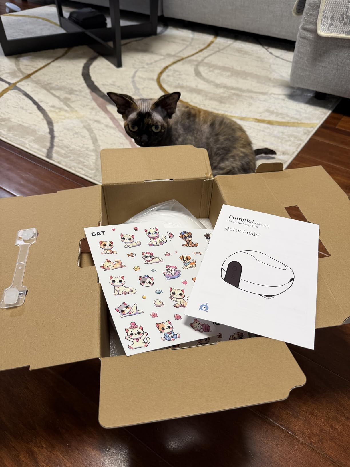 Pet Camera Robot with Treat Dispenser & Laser, Moving Cat Robot Camera for Dogs and Cats with Two-Way Audio, App Remote Control, Auto Recharge, 1080P Night Vision - BQ70 customer photo 2
