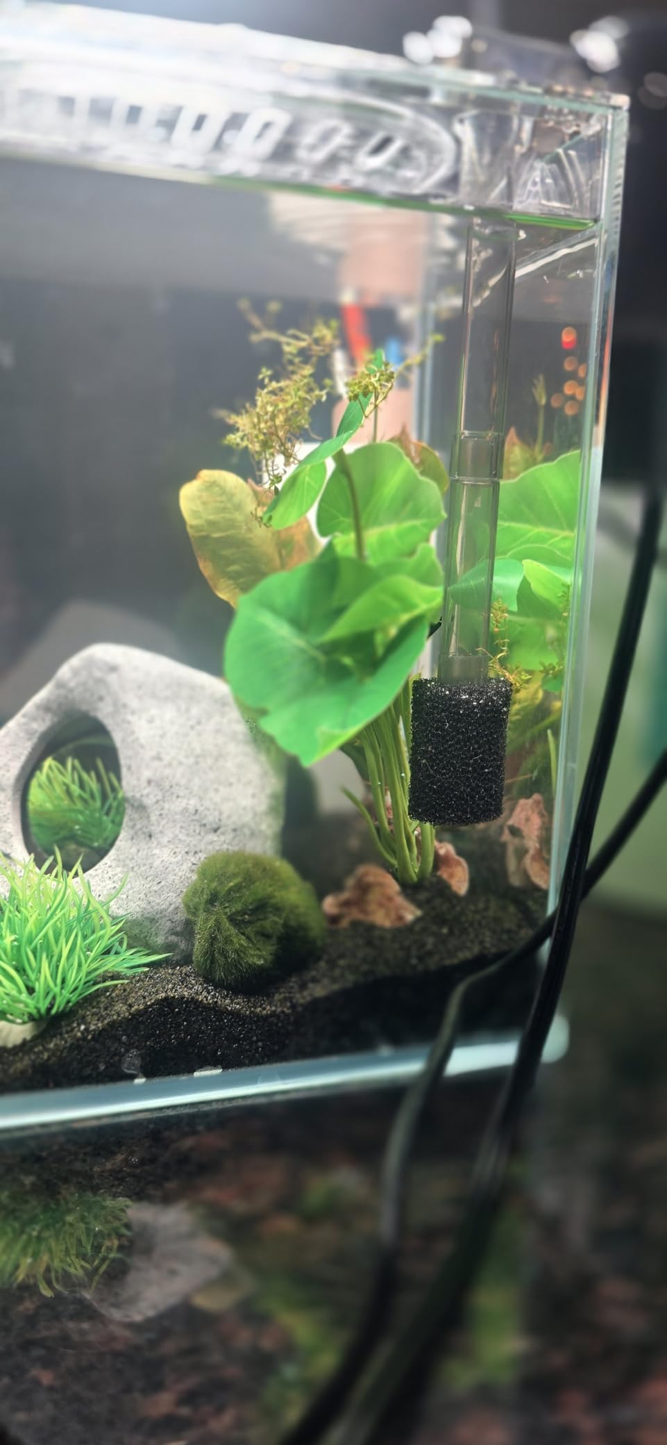 Glass Betta Aquarium Starter Kits 1.5 Gallon Small Fish Tank, Betta Fish Tank with LED Light, Power Filter, Black. 4mm Glass customer photo 1