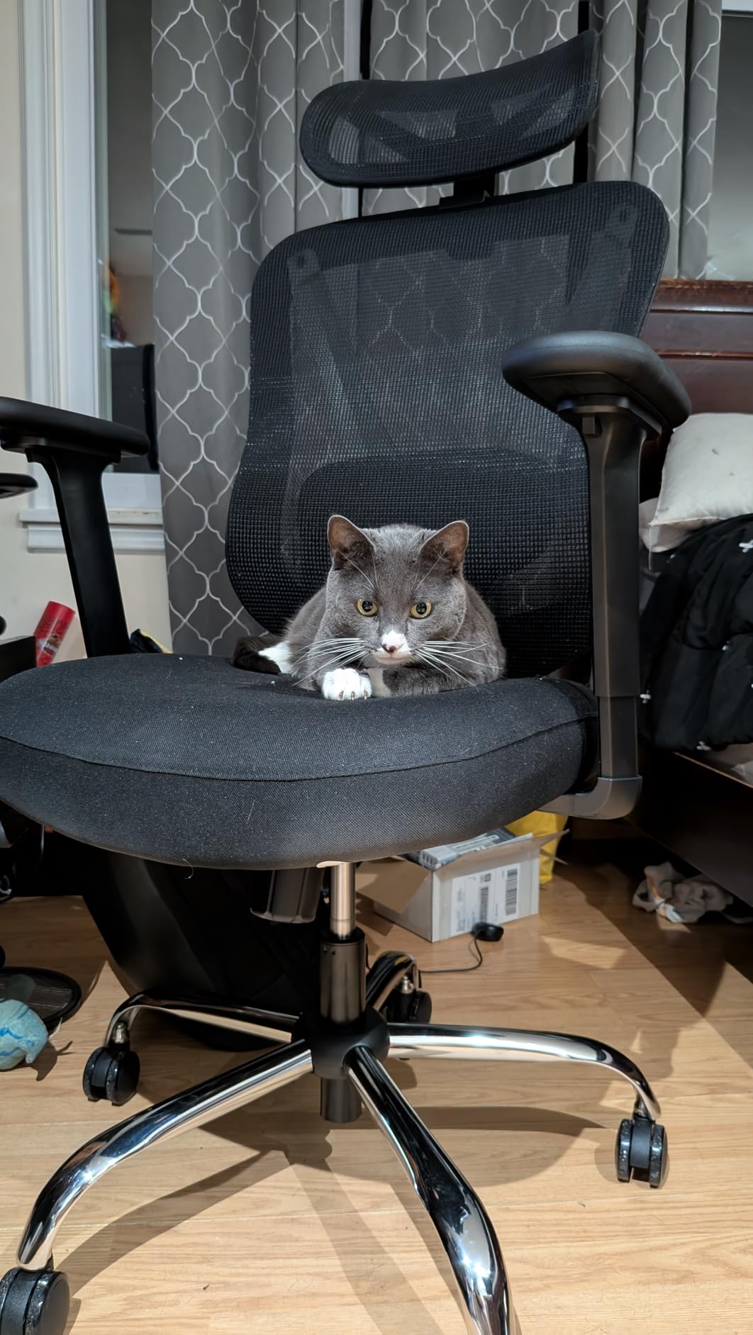 HOLLUDLE Ergonomic Mesh Office Chair - 3D Adjustable Lumbar Support & 3D Armrests, V-Shaped Back, Adjustable Desk Chair for Office & Home, Black customer photo 2