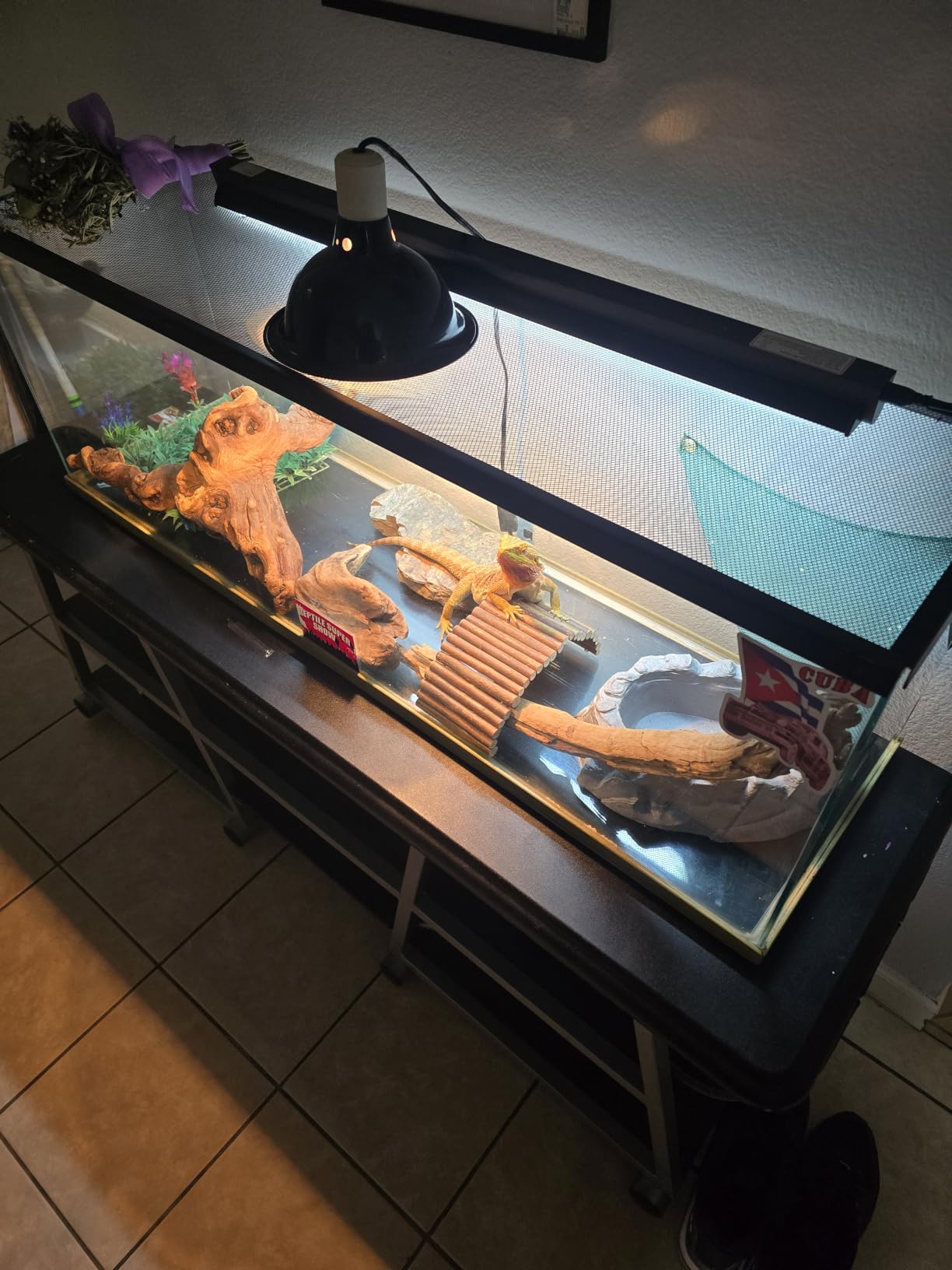 REPTI ZOO Switchable UVB Light for Reptiles, 39W T5 UVB Light Combo Kit for Tropical & Desert Reptile, 34