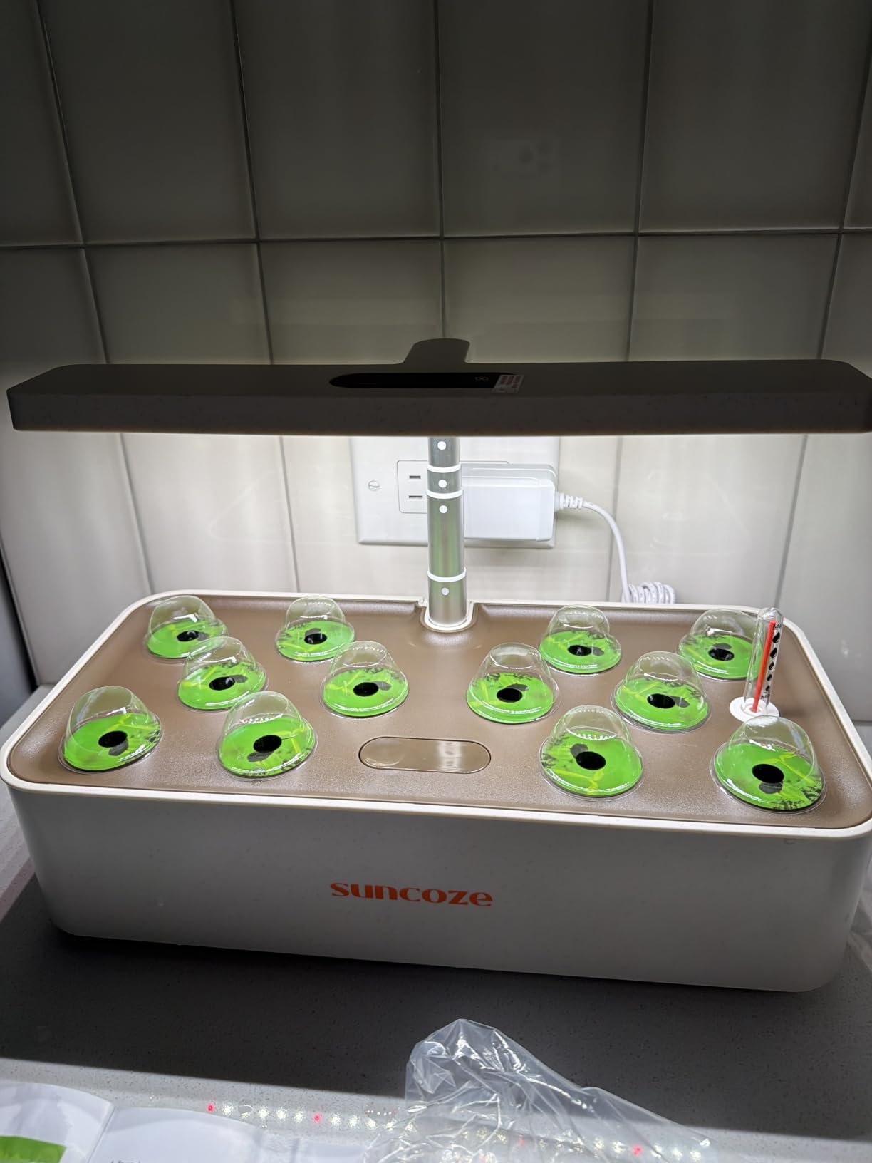 SUNCOZE Hydroponics Growing System, Compact 12 Pods Indoor Garden, Green customer photo 2