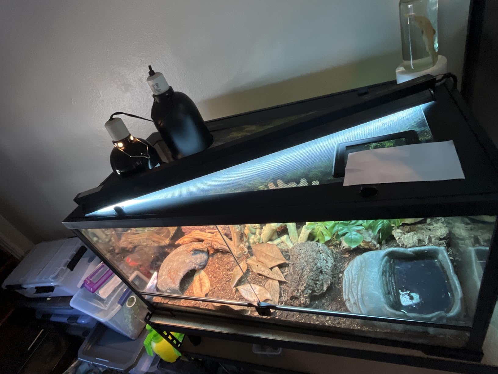 T5 UVB Reptile Light Fixture HO UVB Bulb Lighting Combo Kit, 10.0 UVB Light for Reptiles Terrarium Hood with 39W Reptile Light Bar UVA UVB Desert Lamp for Bearded Dragon Turtle Tank, 34Inch customer photo 1