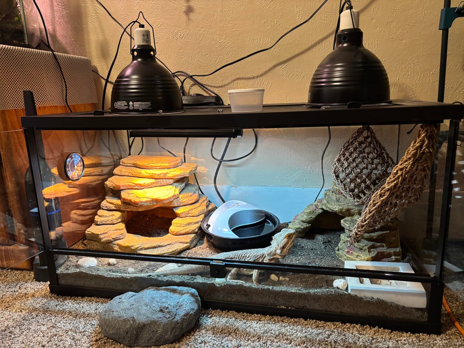 T5 UVB Reptile Light Fixture HO UVB Bulb Lighting Combo Kit, 10.0 UVB Light for Reptiles Terrarium Hood with 39W Reptile Light Bar UVA UVB Desert Lamp for Bearded Dragon Turtle Tank, 34Inch customer photo 2