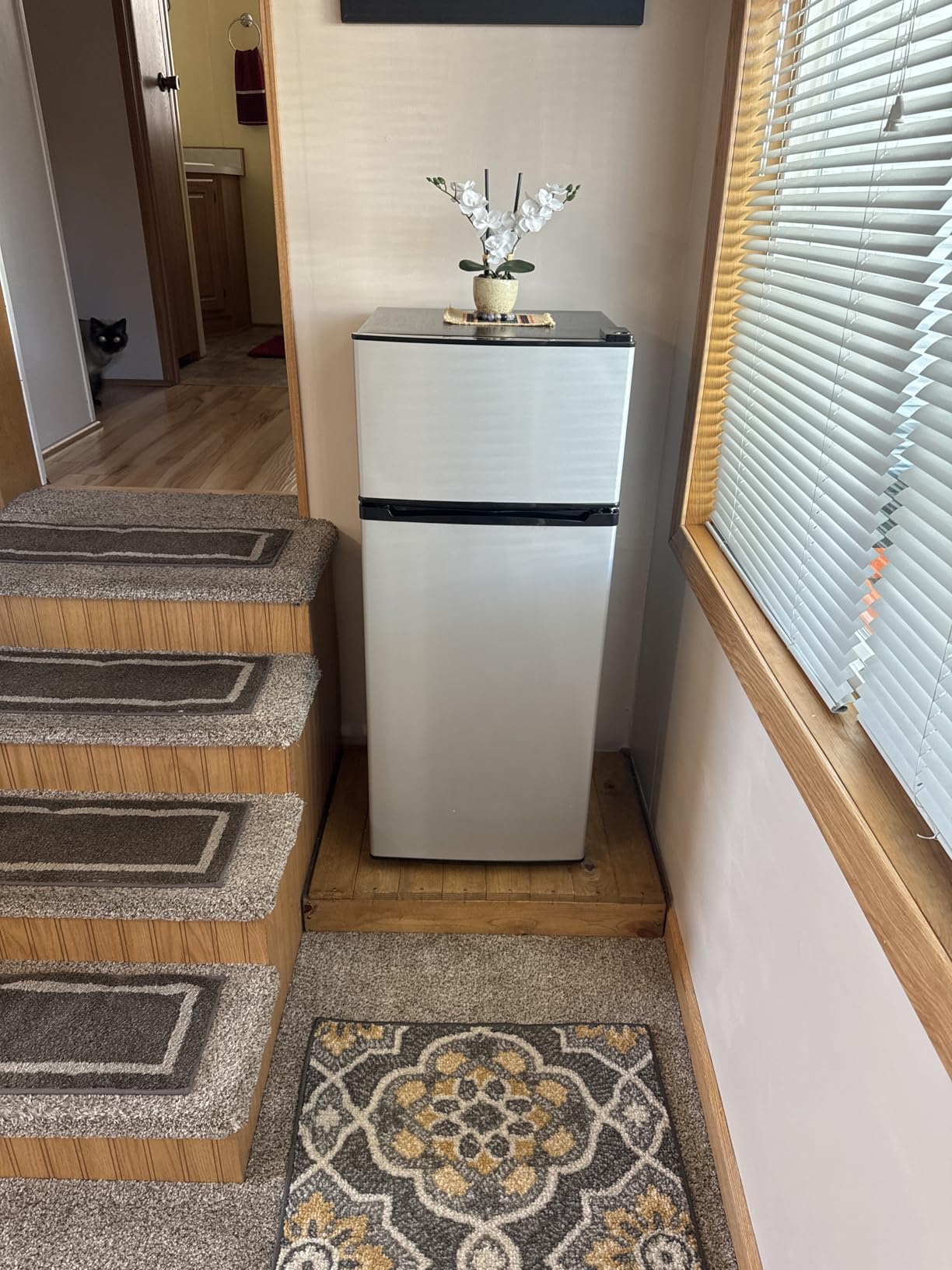 Manastin 4.5 Cu.Ft Mini Fridge Freezer for Dorm/Office, 2-Door, Quiet customer photo 1