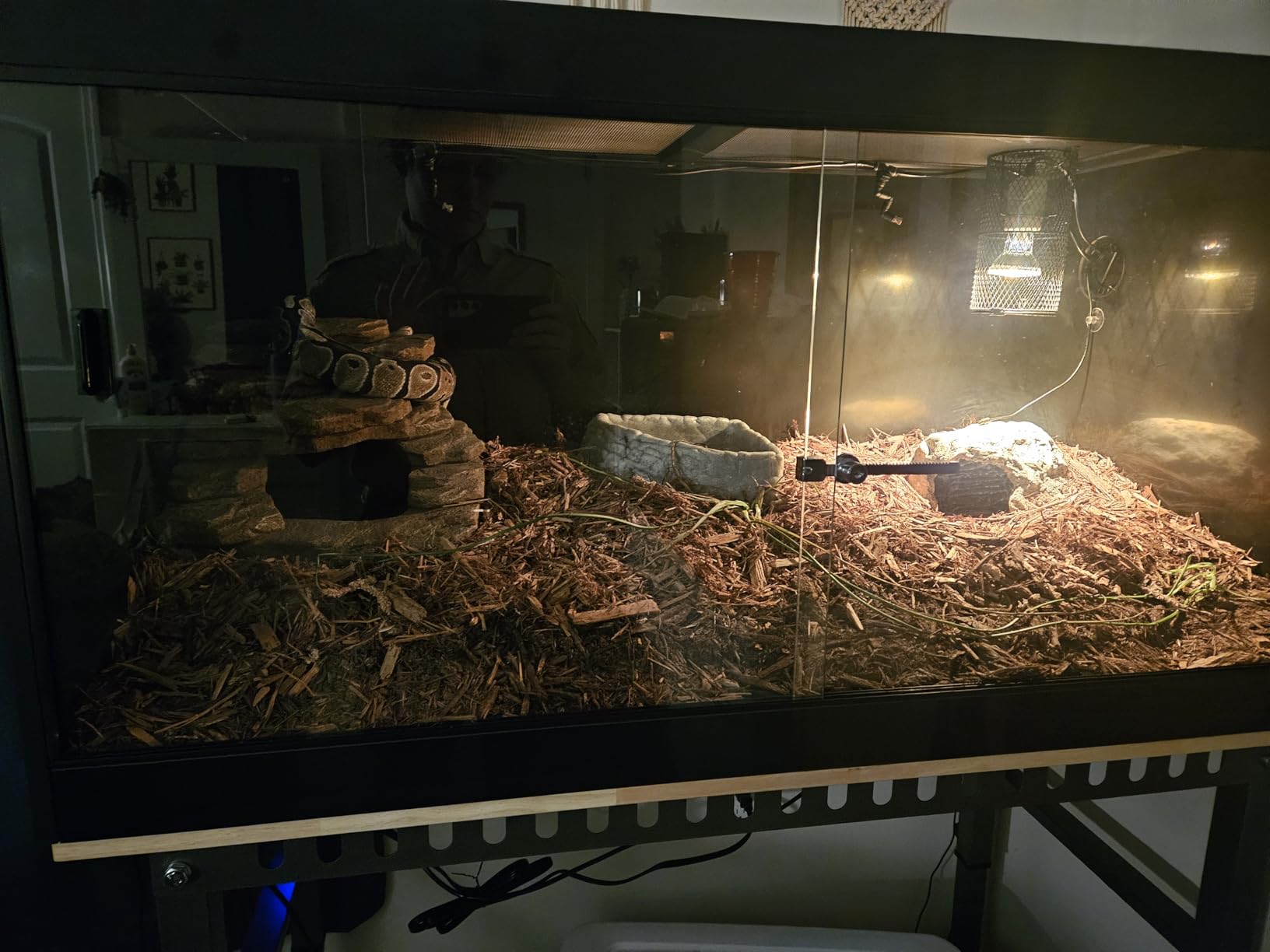 65 Gallon PVC Reptile Enclosure, RepWild 48