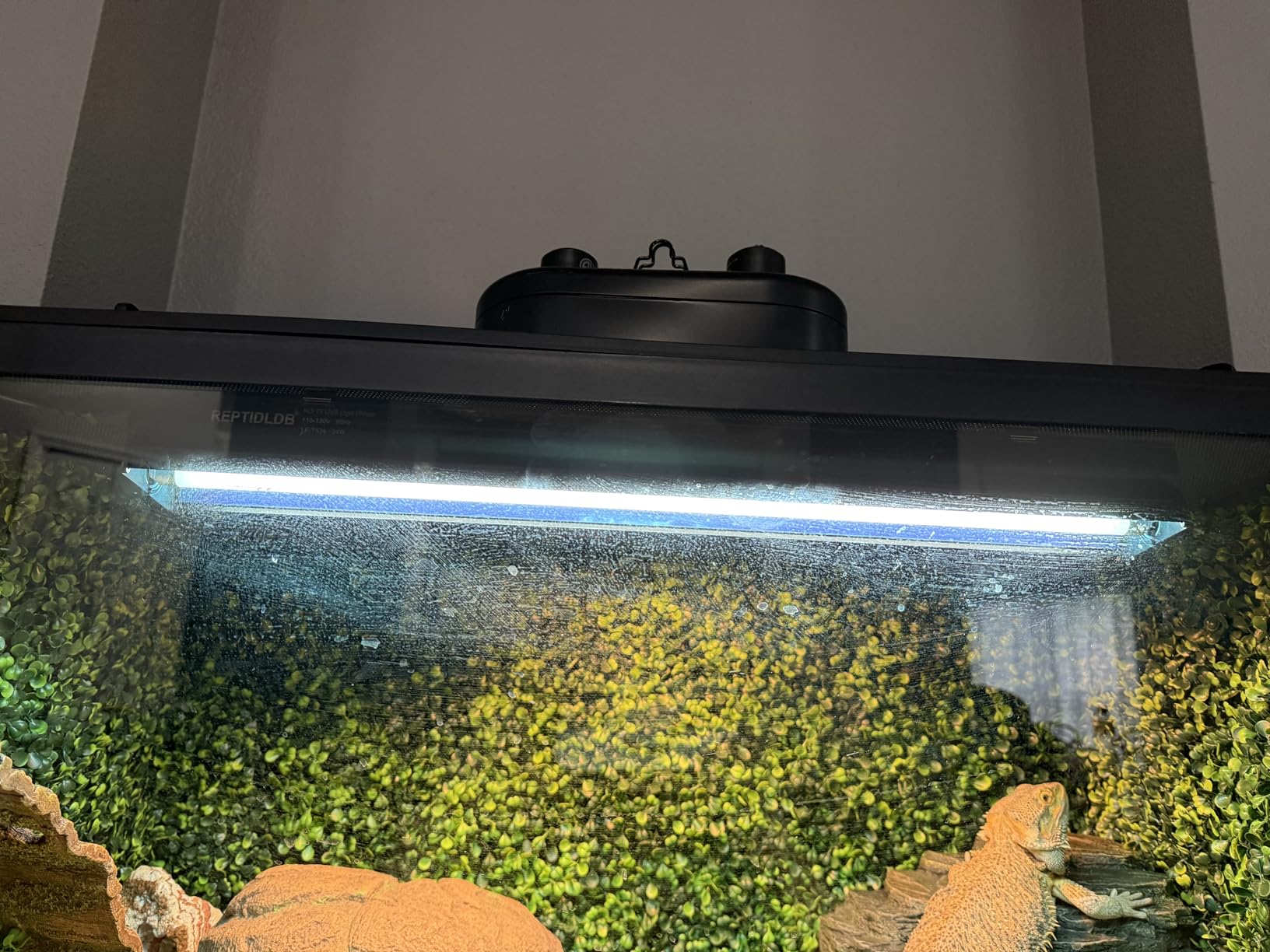 24W T5 UVB Reptile Light Fixture Combo Kit – 10.0 UVB Fluorescent Tube for Bearded Dragons, Lizards & Tortoises – UVA UVB Reptile Light, 22