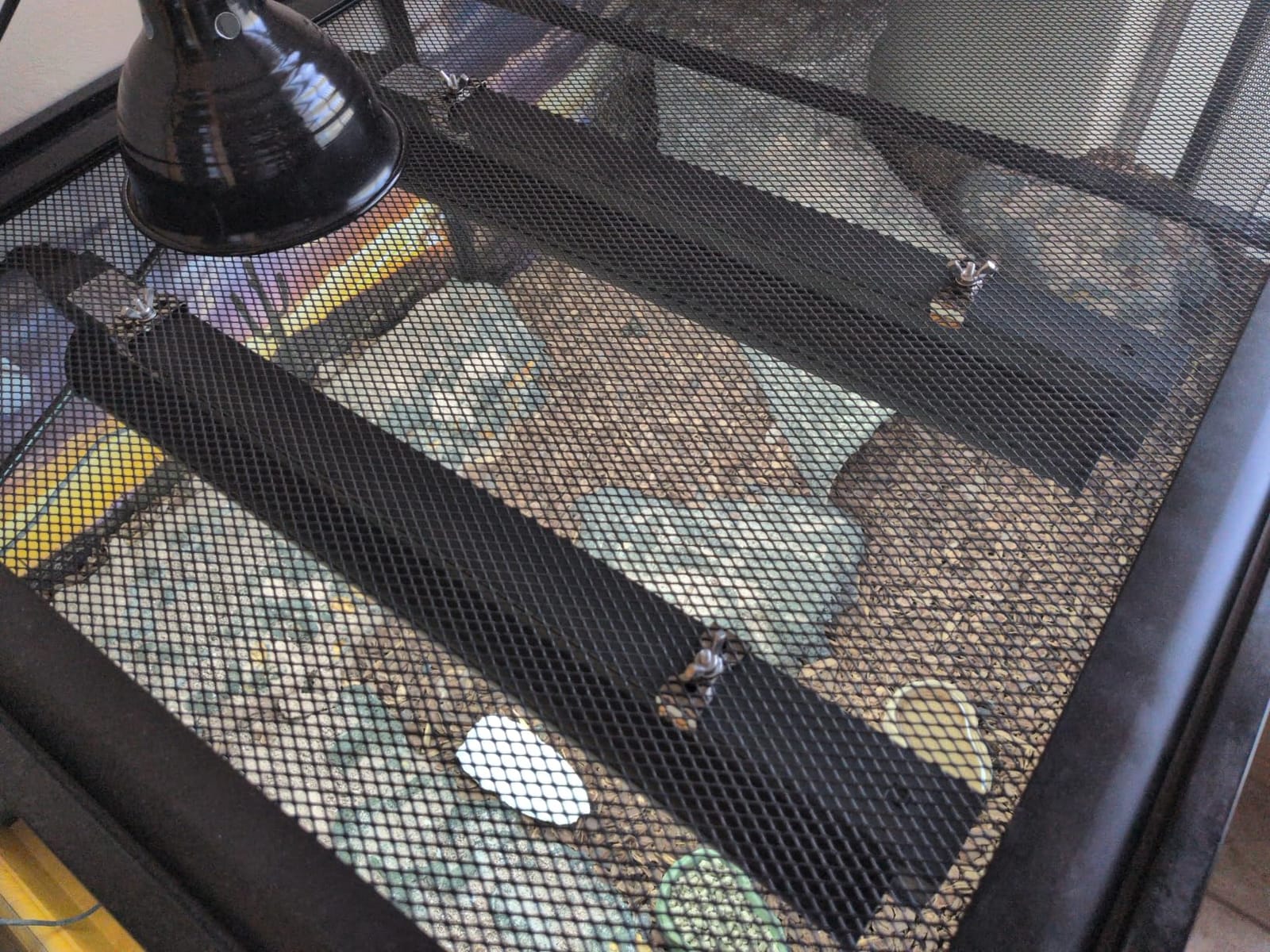 T5 Reptile Light Fixture Green Combo Kit 39W Light Fixture Reptile Terrarium Hood 10.0 UVB Light Bulb Fluorescent Tube Ideal for Tropical and Deserts Such as Bearded Dragon Lizards and Tortoises customer photo 1