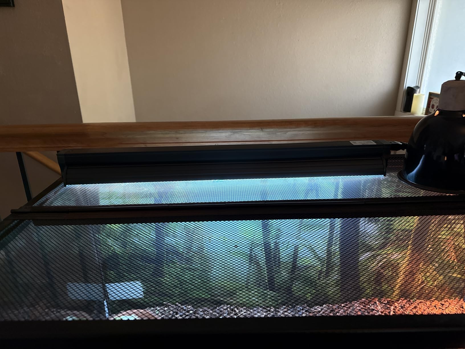T5 Reptile Light Fixture Green Combo Kit 39W Light Fixture Reptile Terrarium Hood 10.0 UVB Light Bulb Fluorescent Tube Ideal for Tropical and Deserts Such as Bearded Dragon Lizards and Tortoises customer photo 2