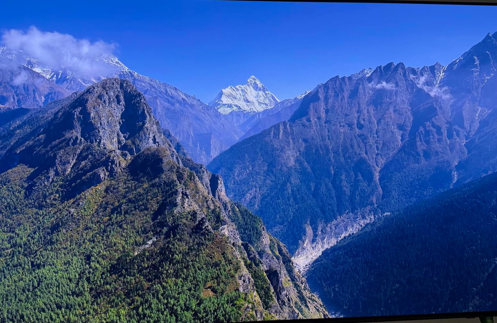 Samsung 42-Inch Class OLED S90F 4K Smart TV (2025 Model) NQ4 AI Gen3 Processor Upscaling Pro HDR +, Motion Xcelerator 144Hz, Vision Alexa Built-in customer photo 1