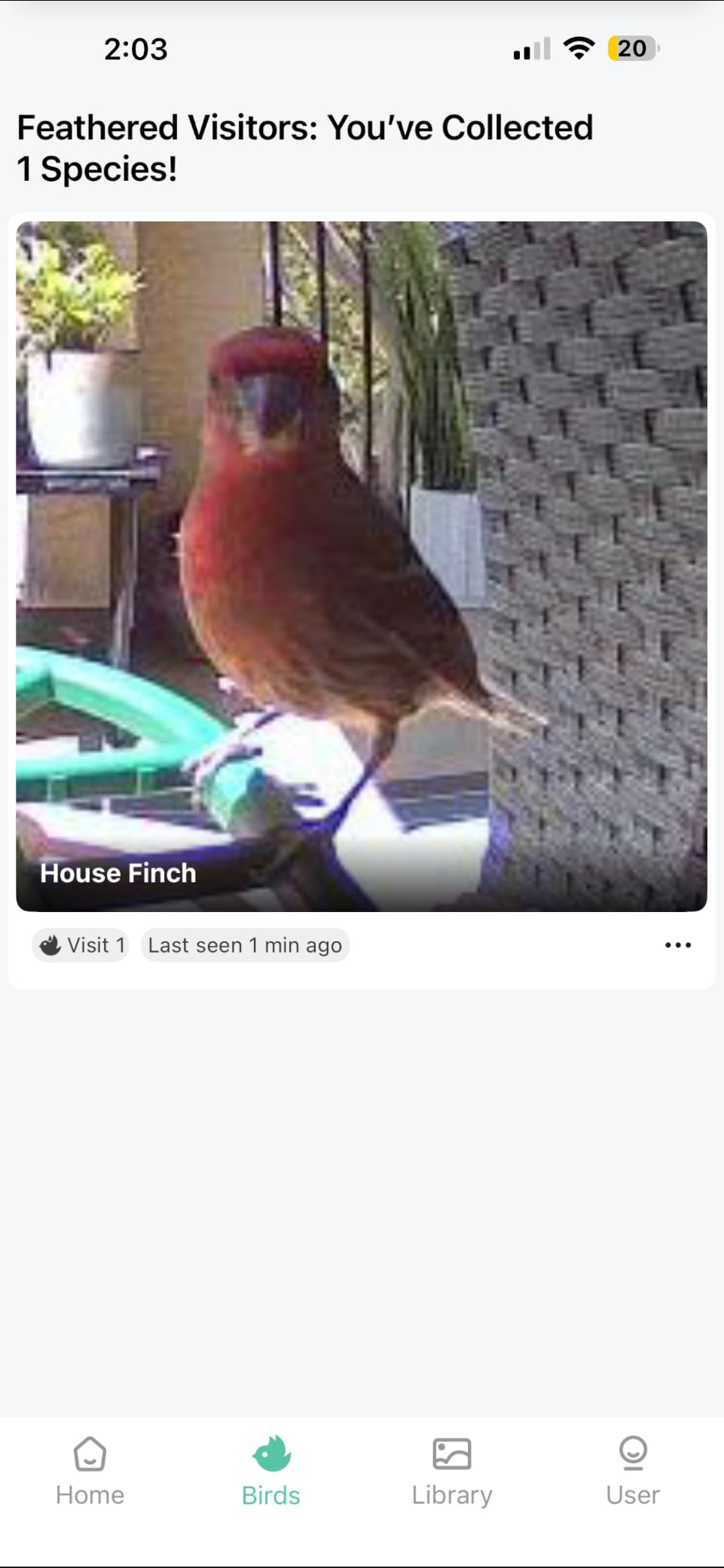 HARYMOR Bird Feeder with Camera, 2K Live Video, AI Identify Bird Species customer photo 1