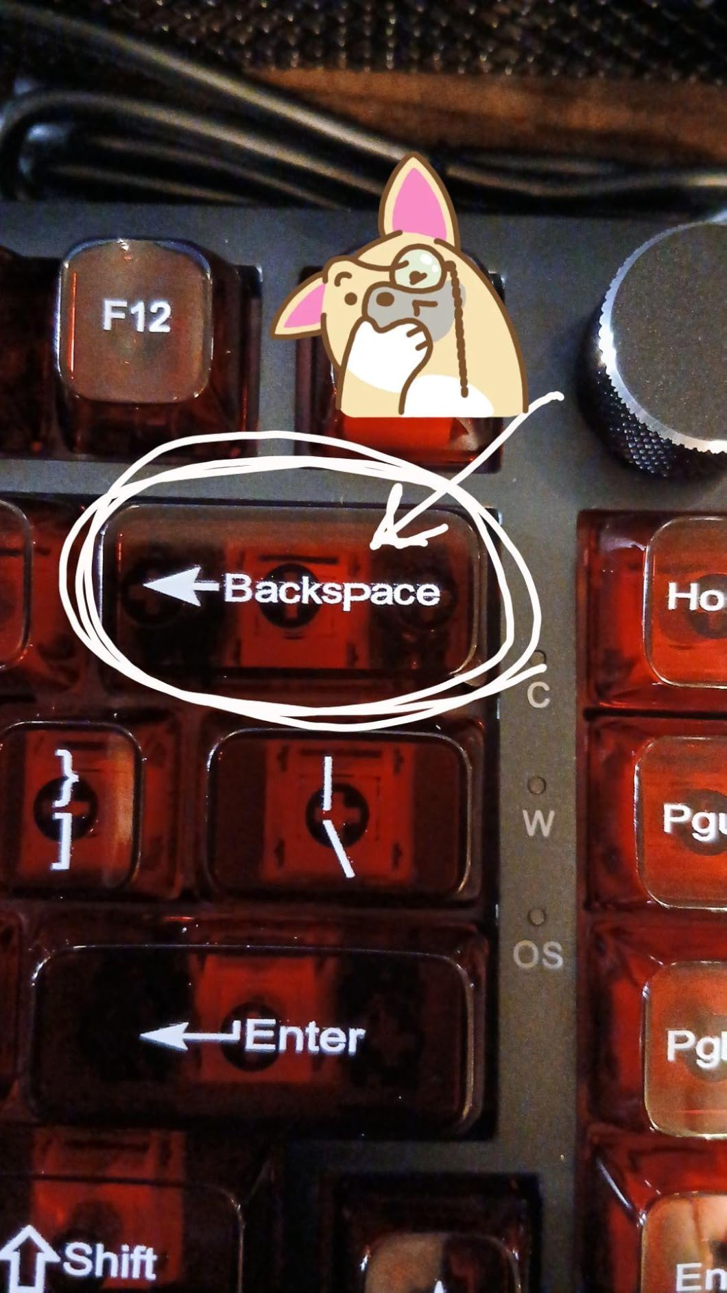 dagaladoo Clear keycaps Set,Translucent Keyboard keycaps,Jelly Key caps customer photo 2