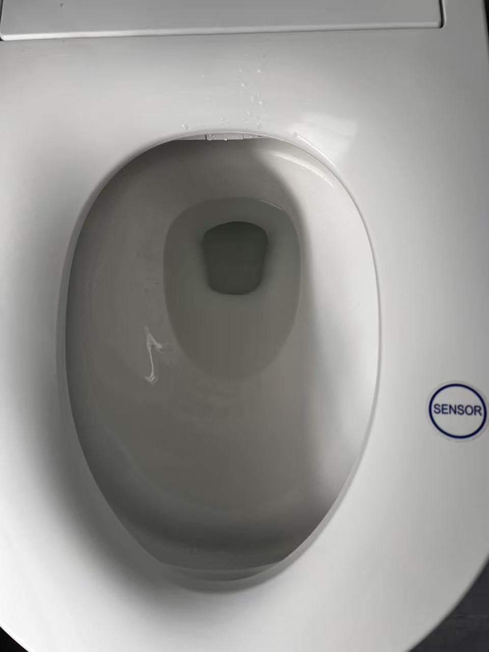 Casta Diva Smart Toilet With Bidet Built in Auto Open 1000g MaP Flush K030 customer photo 2