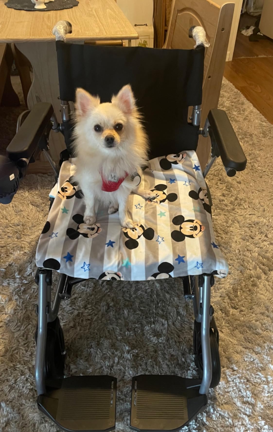 Only 26lbs Upgraded Carbon Fiber Electric Wheelchairs for Adults, Foldable Lightweight Power Motorized Wheelchair, Airline Approved, 15 Miles Portable Compact for Travel, 350lbs customer photo 1