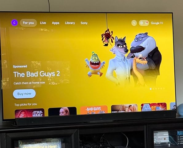 Sony 55 Inch BRAVIA XR8B OLED 4K HDR Smart Google TV (K-55XR8B) customer photo 2