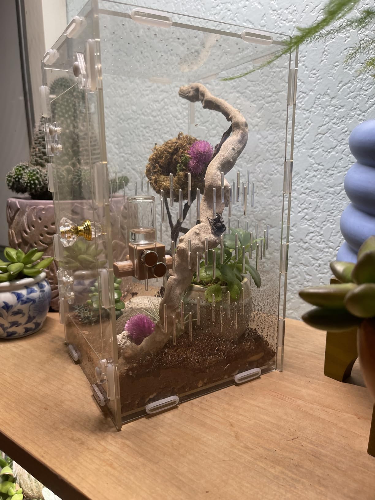 Reptile Enclosure 10 Gallon for Crested Gecko, Lizard, Bearded Dragon, Snakes,Frogs, Large Spiders, Acrylic Reptile Tank Feeding Terrarium with Front & Top Opening Doors and Vent Holes - 12