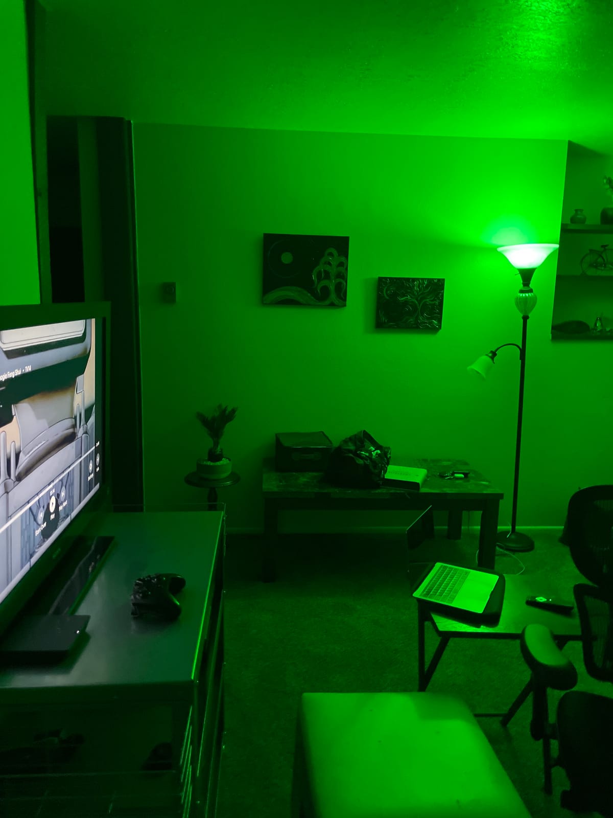 Neporal Full Spectrum Light Bulb 15W 1000LM Bright, High 90 CRI & Flicker-Free & UV-Free & Eye-Caring LED Sunlight Light Bulbs for Home/Office/Plant/Read, A19 E26/E27 Base - 2700K Soft Warm White 3PK customer photo 1