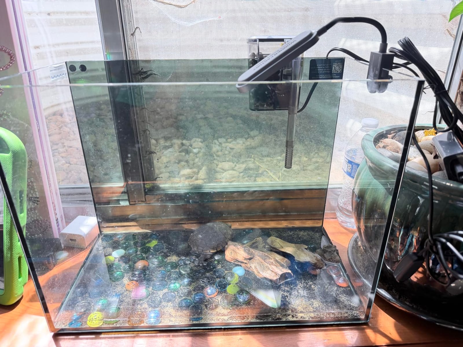 3 Gallon Small Fish Tank Glass Aquarium Set, Starter Kit with Heater Water Pump Cleaning Filter Bright Light Rocks Gravel Cleaning Tool, Leak-Proof Clear Rimless Desktop Spaces Saving Betta Fish customer photo 1