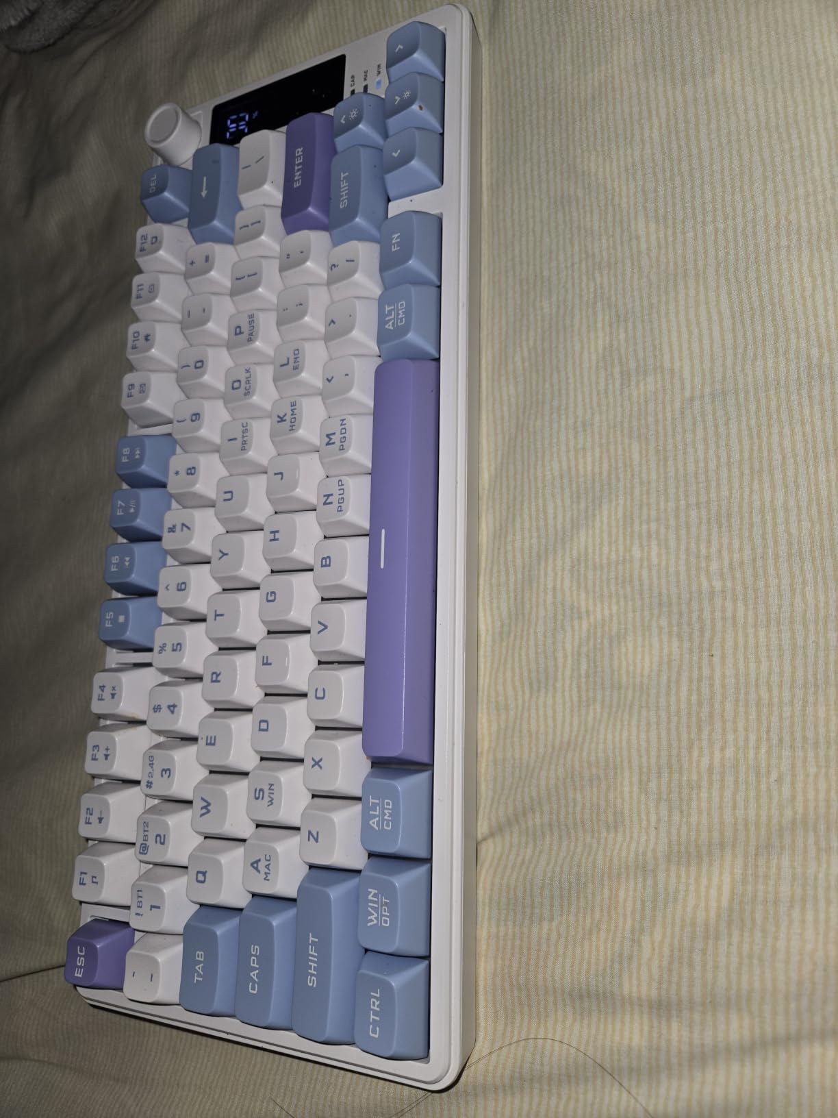 Womier DK75 75% Wireless Gaming Keyboard, Creamy Computer Keyboards, Blue customer photo 2