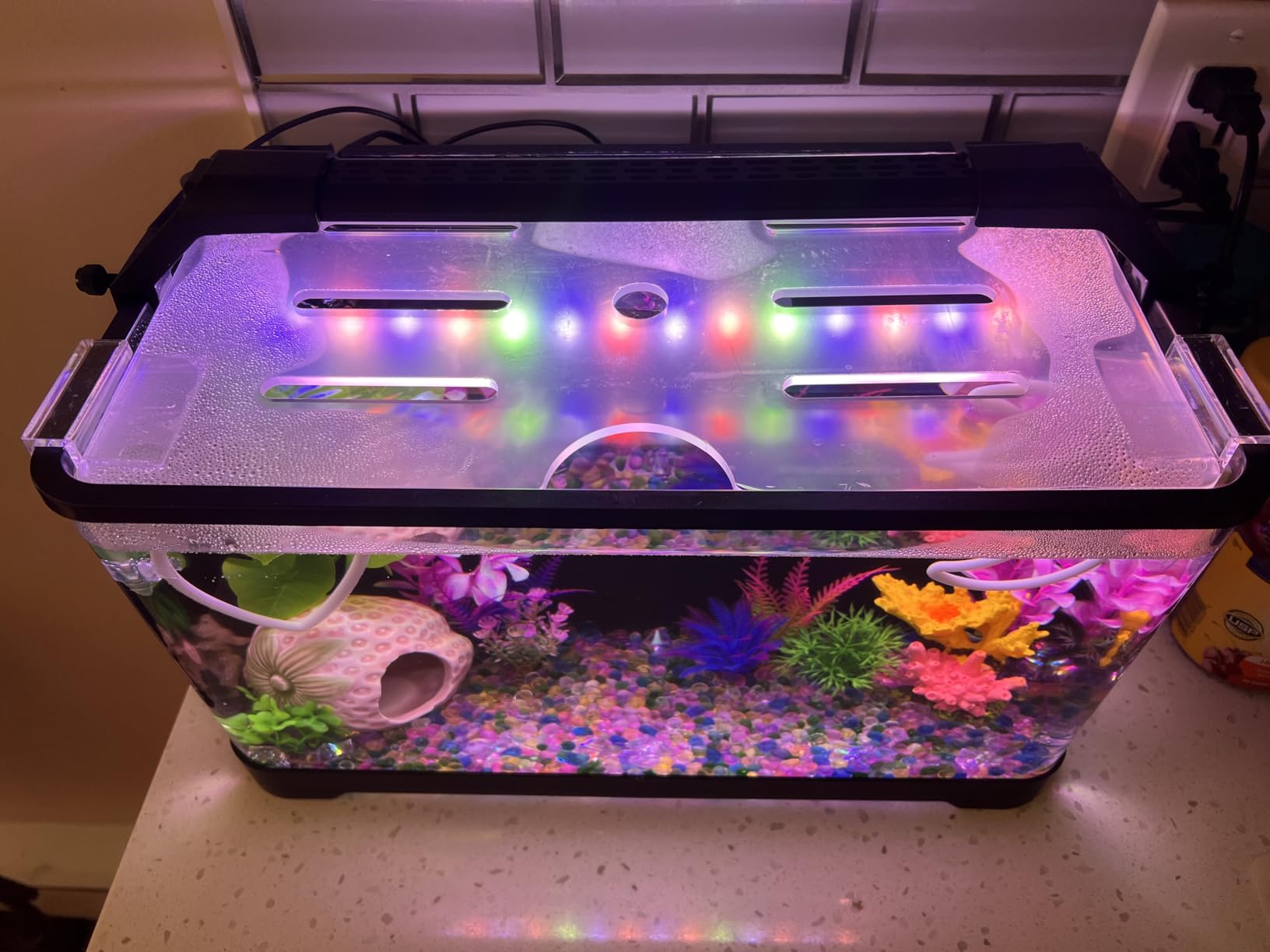 3.5 Gallon Betta Fish Tank, Plastic, All in One Aquarium Starter Kit customer photo 1