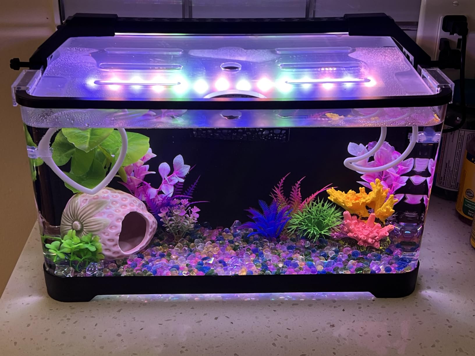 3.5 Gallon Betta Fish Tank, Plastic, All in One Aquarium Starter Kit customer photo 2