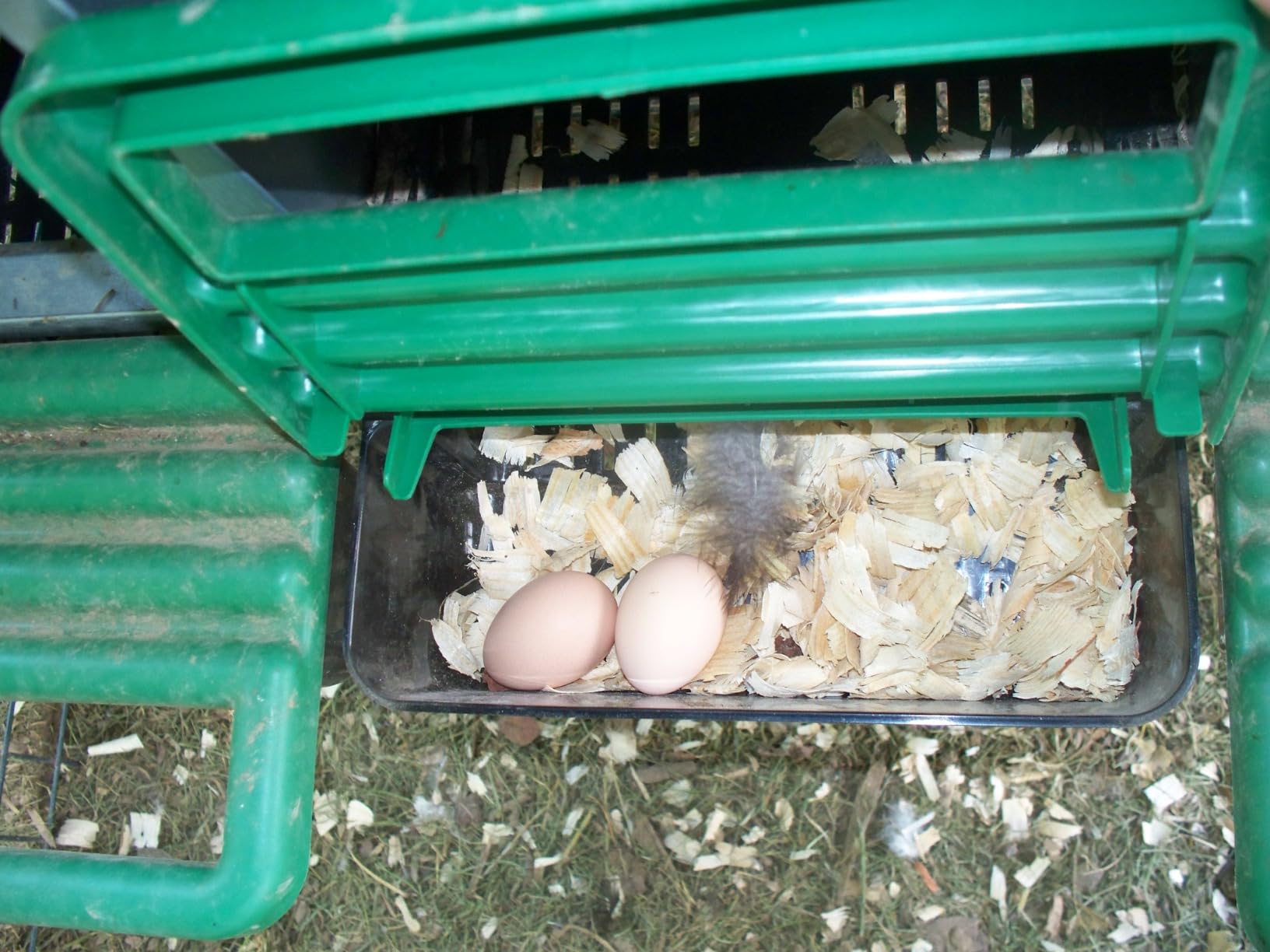 Eggluuz Chicken Nesting Box, 6 Compartments Egg Laying Nests Boxes for Hens customer photo 1