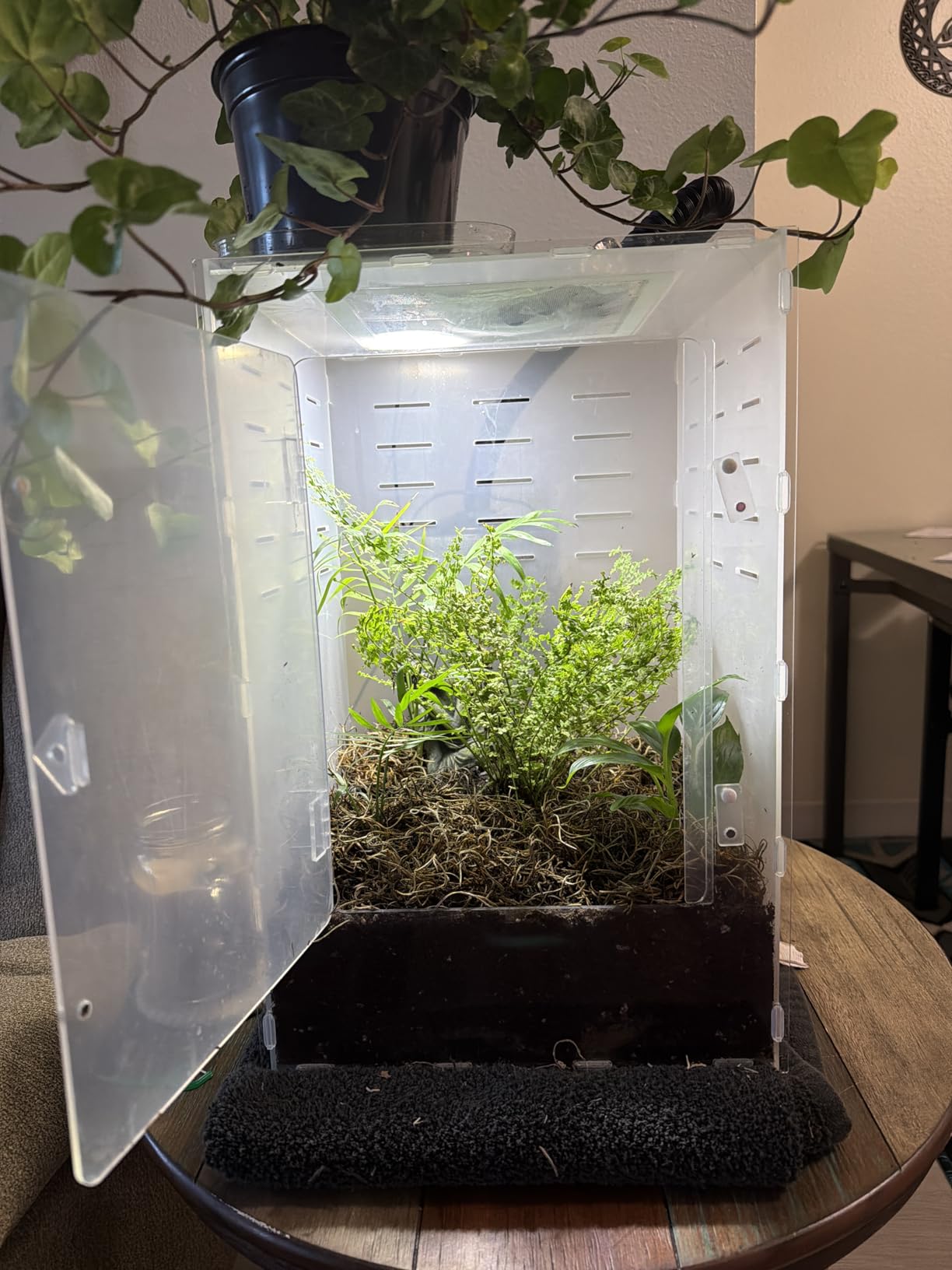 12x12x18 Black PVC Reptile Enclosure, Front Opening Tank with Screen Top customer photo 1
