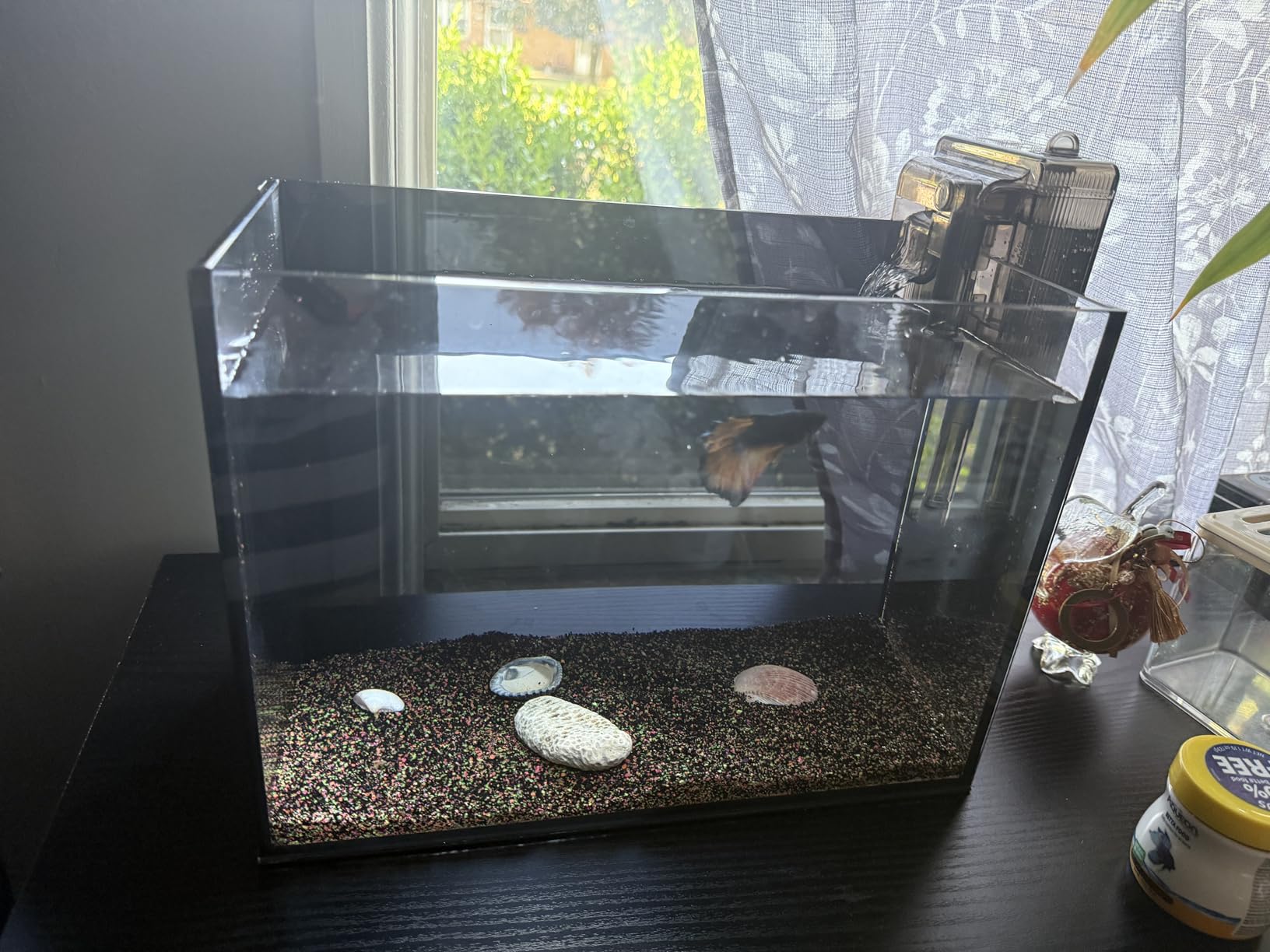 5 Gallon Glass Aquarium Starter Kit, Rimless Fish Tank customer photo 1