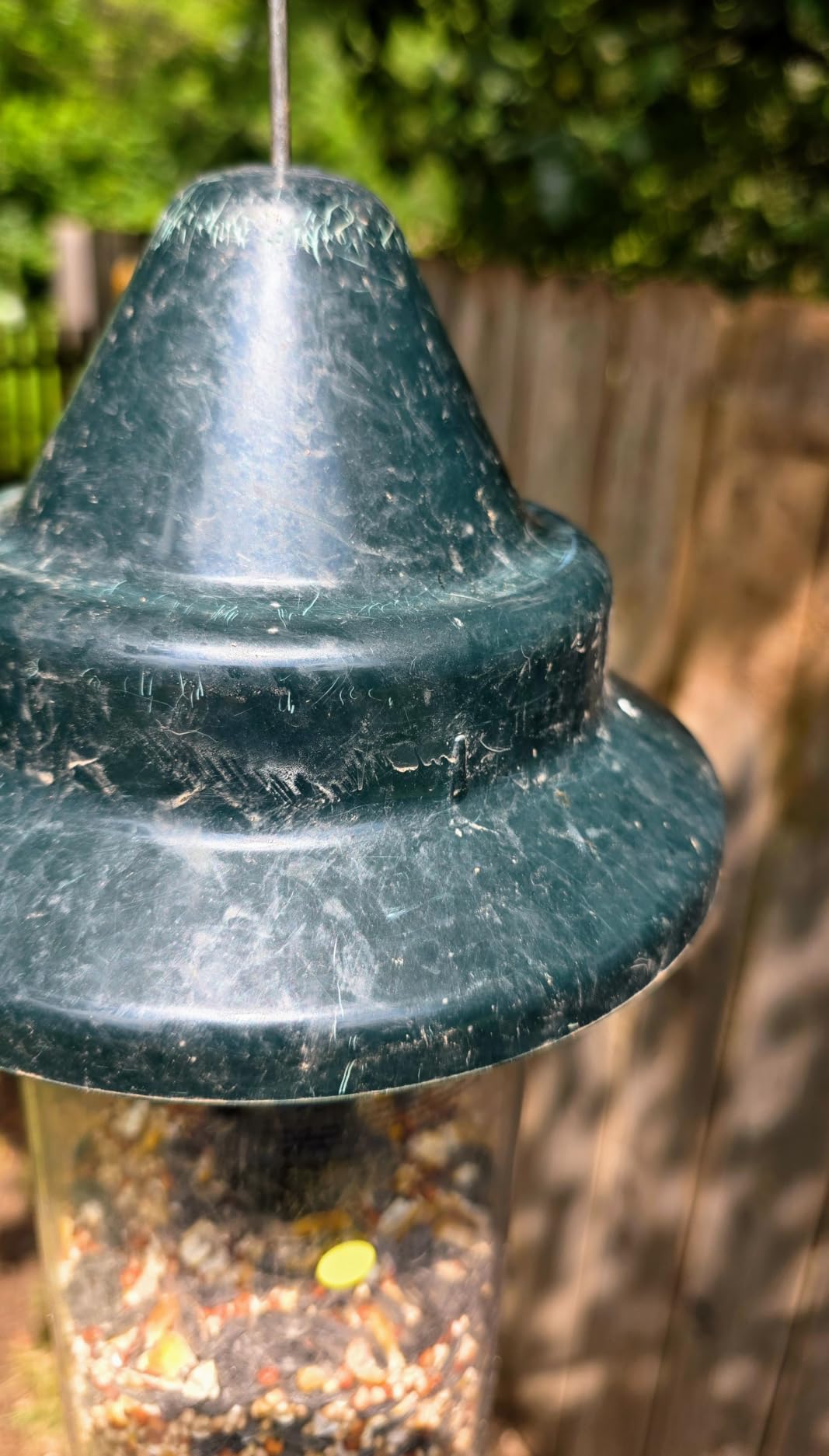 Squirrel Buster Plus Squirrel-proof Bird Feeder w/Cardinal Ring and 6 Feeding Ports, 5.1-pound Seed Capacity, Adjustable, Pole-mountable (POLE ADAPTOR SOLD SEPARATELY), Green customer photo 2