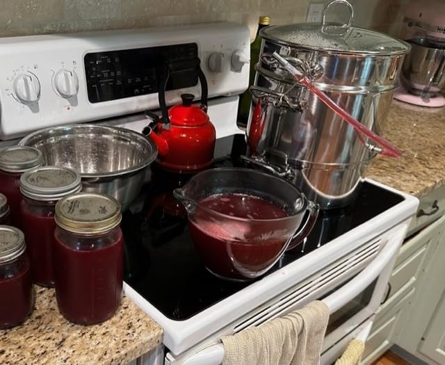Norpro 619 Stainless Steel Steamer/Juicer customer photo 1