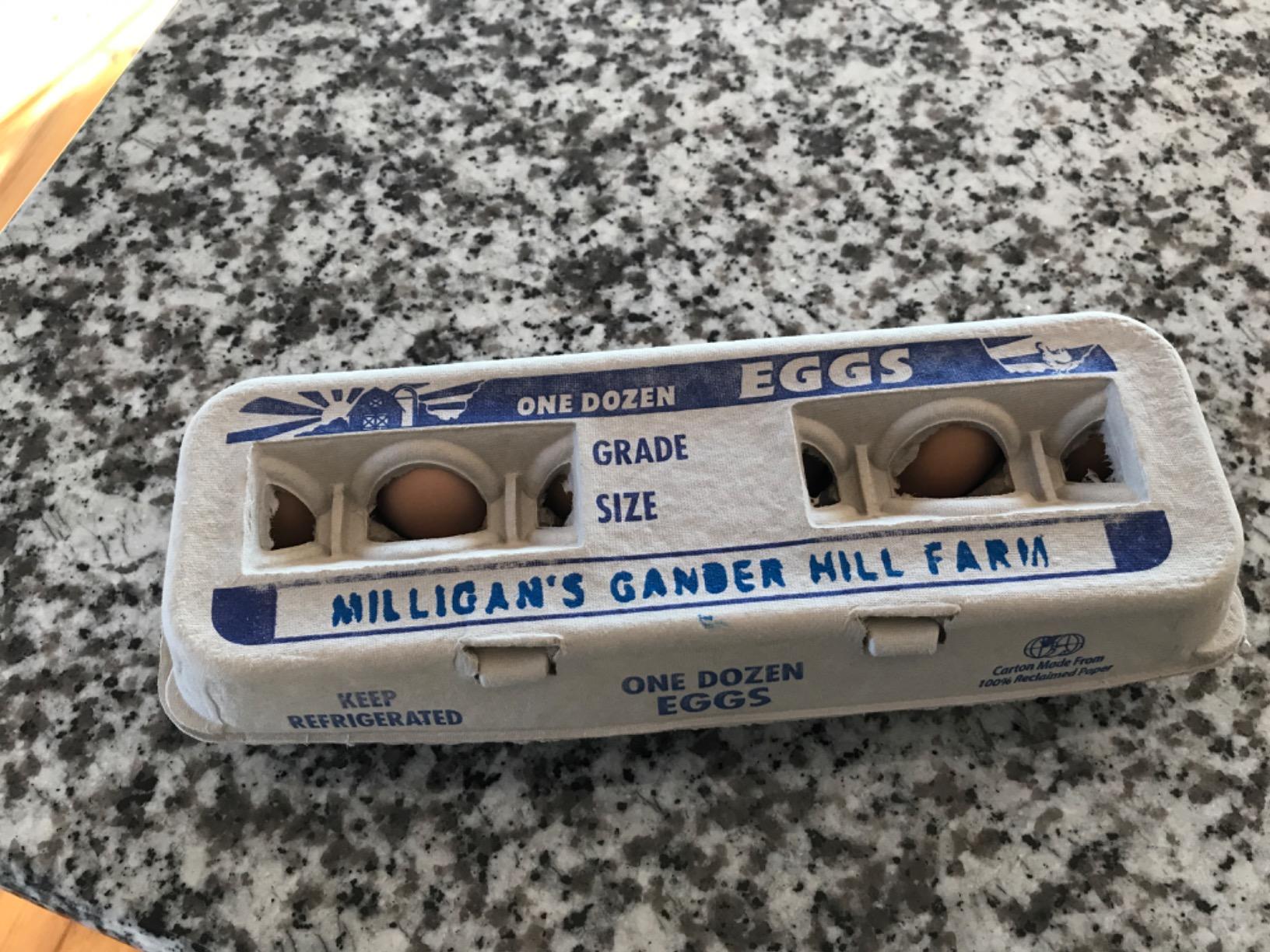 Egg Cartons – 250 Bulk Pack customer photo 1