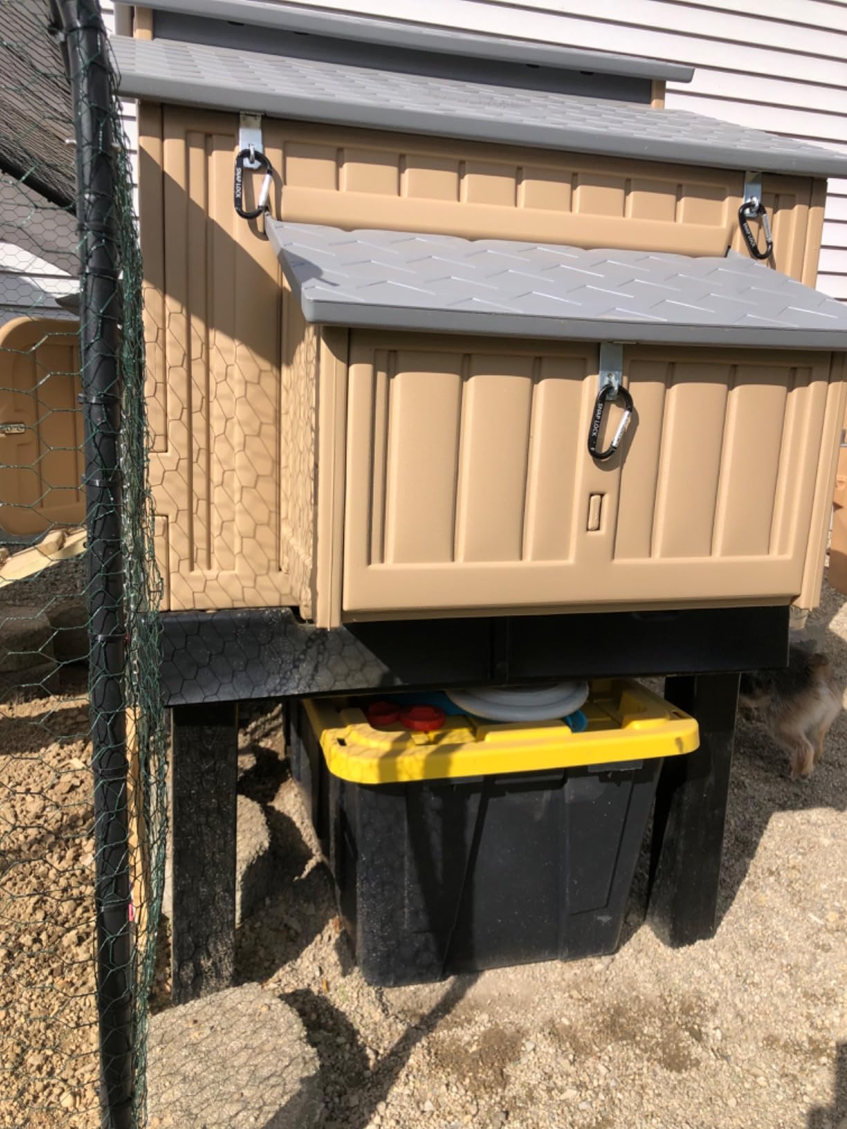 Hatching Time Formex Snap Lock 4-6 Large Chicken Coop, Backyard Hen House customer photo 2
