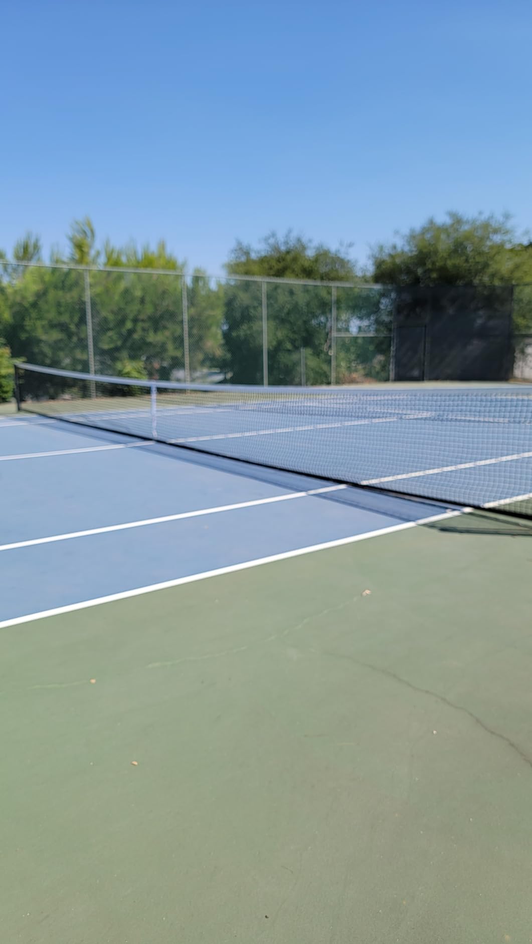 Dynamax Sports Super Pro Tennis Net Double, Series 700D customer photo 1
