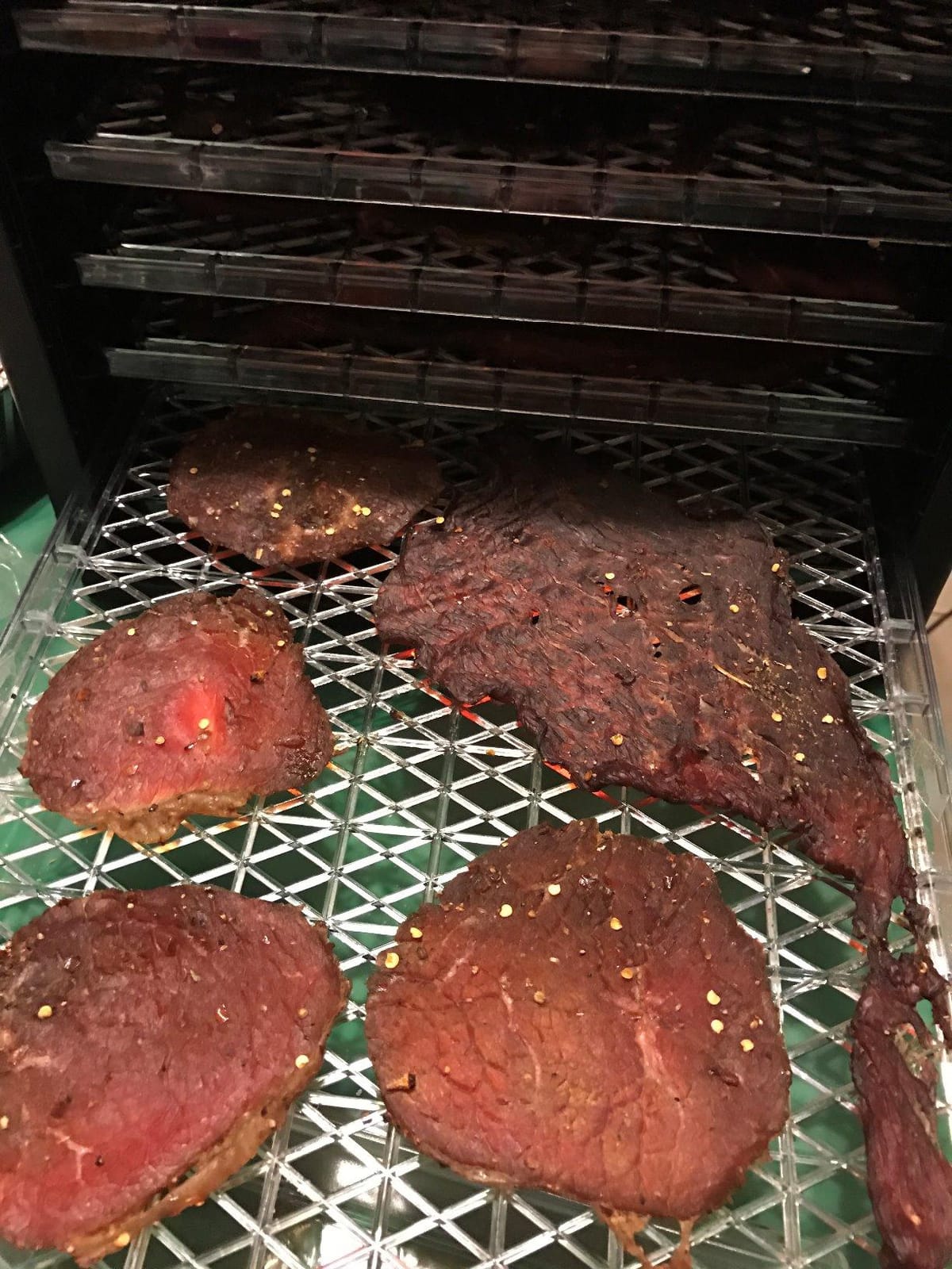 Ivation 6 Tray Food Dehydrator for Beef Jerky, Digital Timer customer photo 2