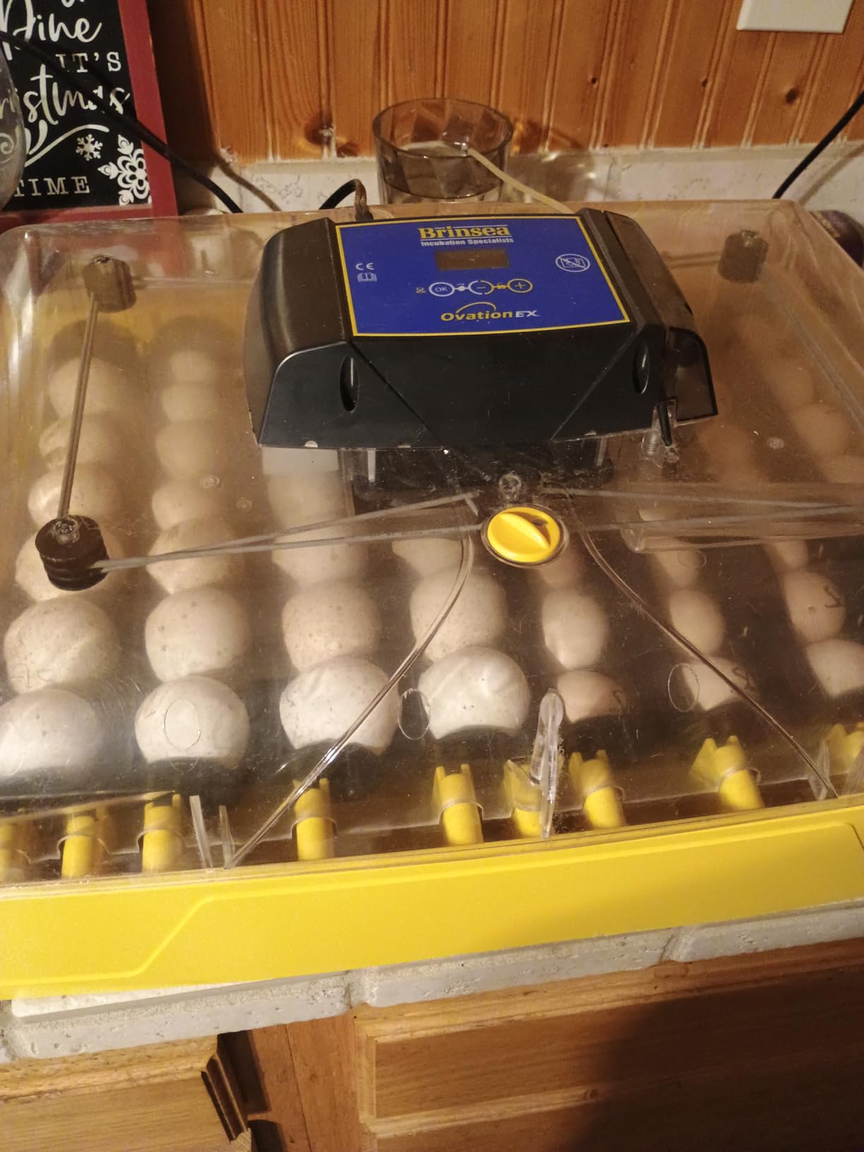 Brinsea Ovation 56 EX Egg Incubator, Automatic Turning & Humidity Control customer photo 2