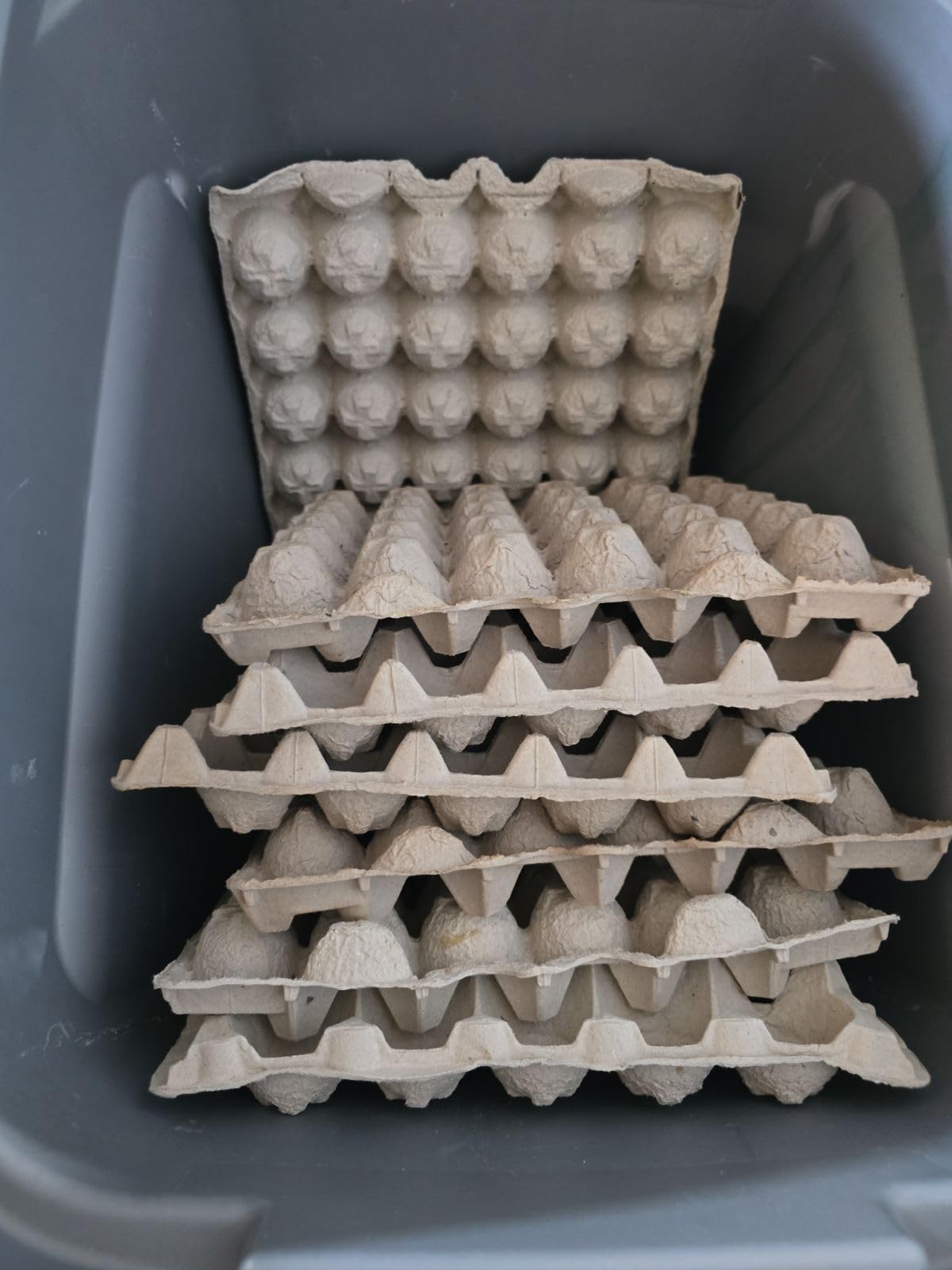 Biodegradable Pulp Fiber Egg Flats - 15 Pieces for Storing up to 30 Large or Small Eggs/Egg Crates That Make a Great Home for Roach Colony by MT Products customer photo 2