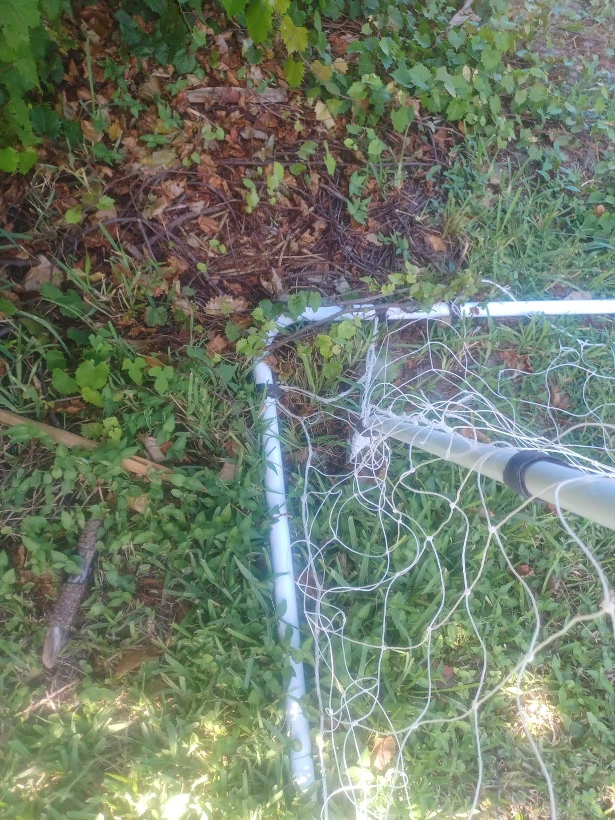 F2C Soccer Net 12 x 6 Soccer Goal for Backyard, Steel Frame for Kids, Adult Portable Shooting Training Aid with Carry Bag,Ground Stakes Waterproof (12x6 FT) customer photo 2