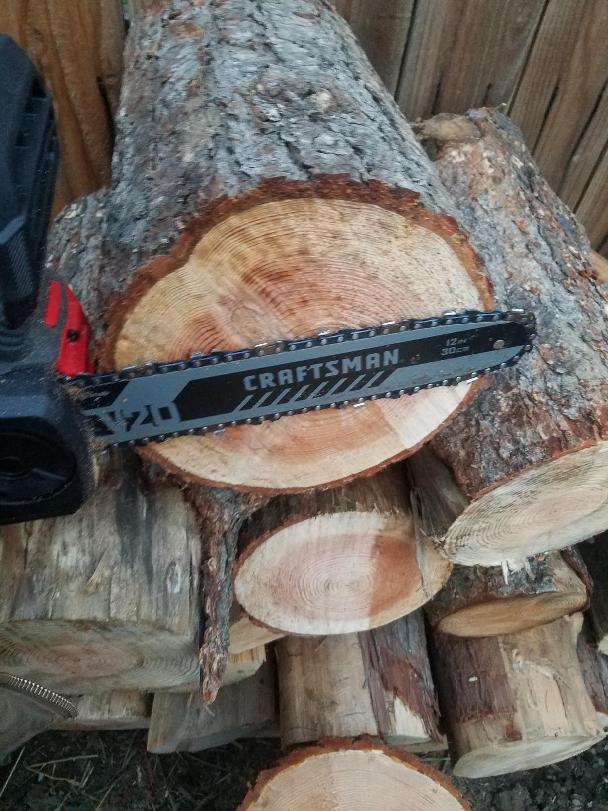 CRAFTSMAN V20 Cordless Chainsaw, 12-Inch Electric Chainsaw, Battery Powered, Battery and Charger Included (CMCCS620M1) customer photo 2