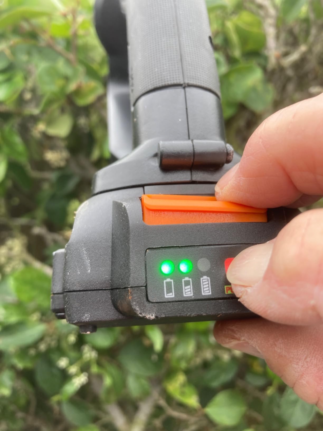 WORX Cordless Pole Hedge Trimmer, 20V 20